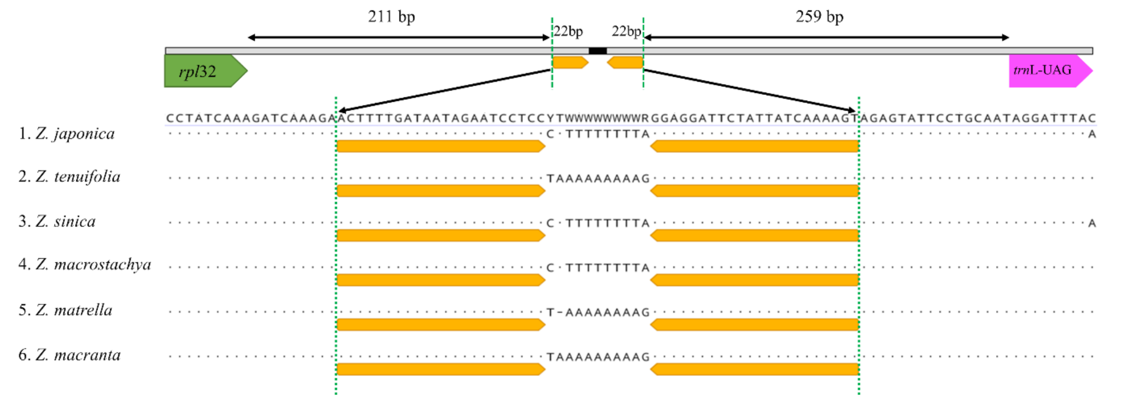 Plants 10 01517 g004 550