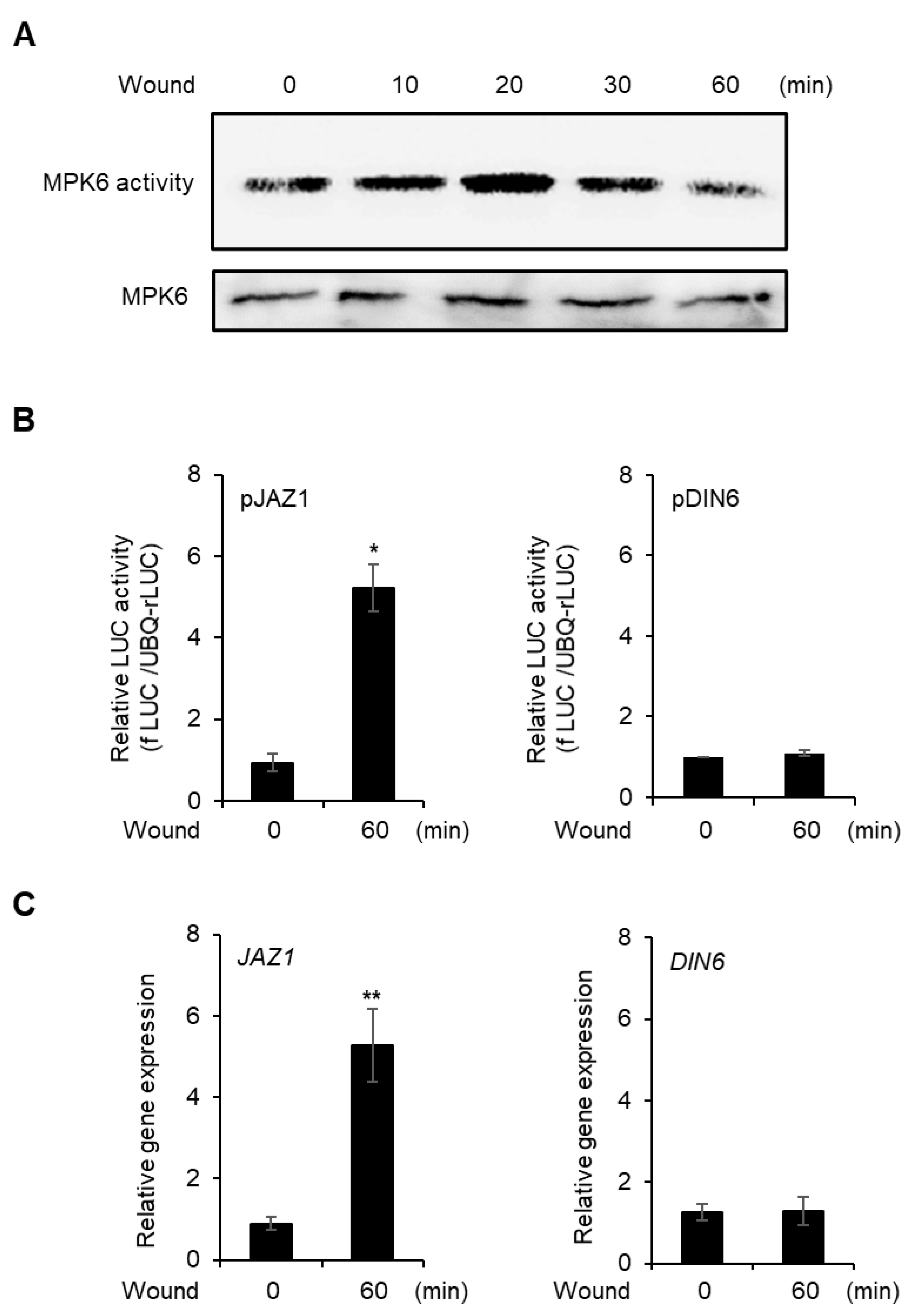 Plants 10 01518 g002