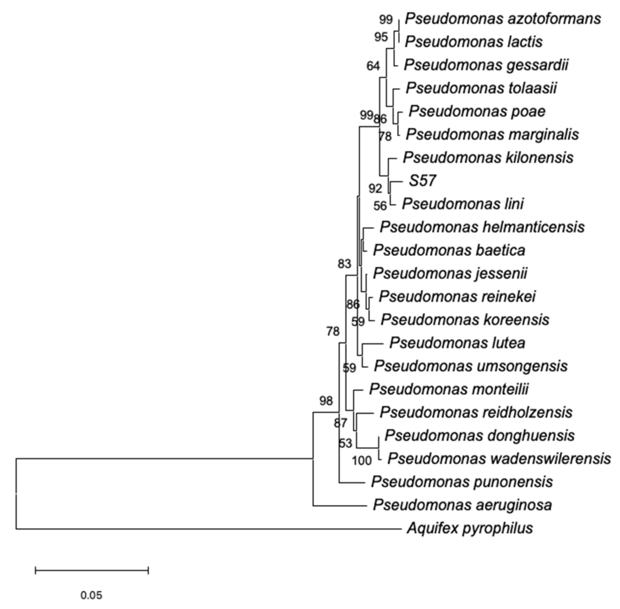 Plants 10 01531 g001 550