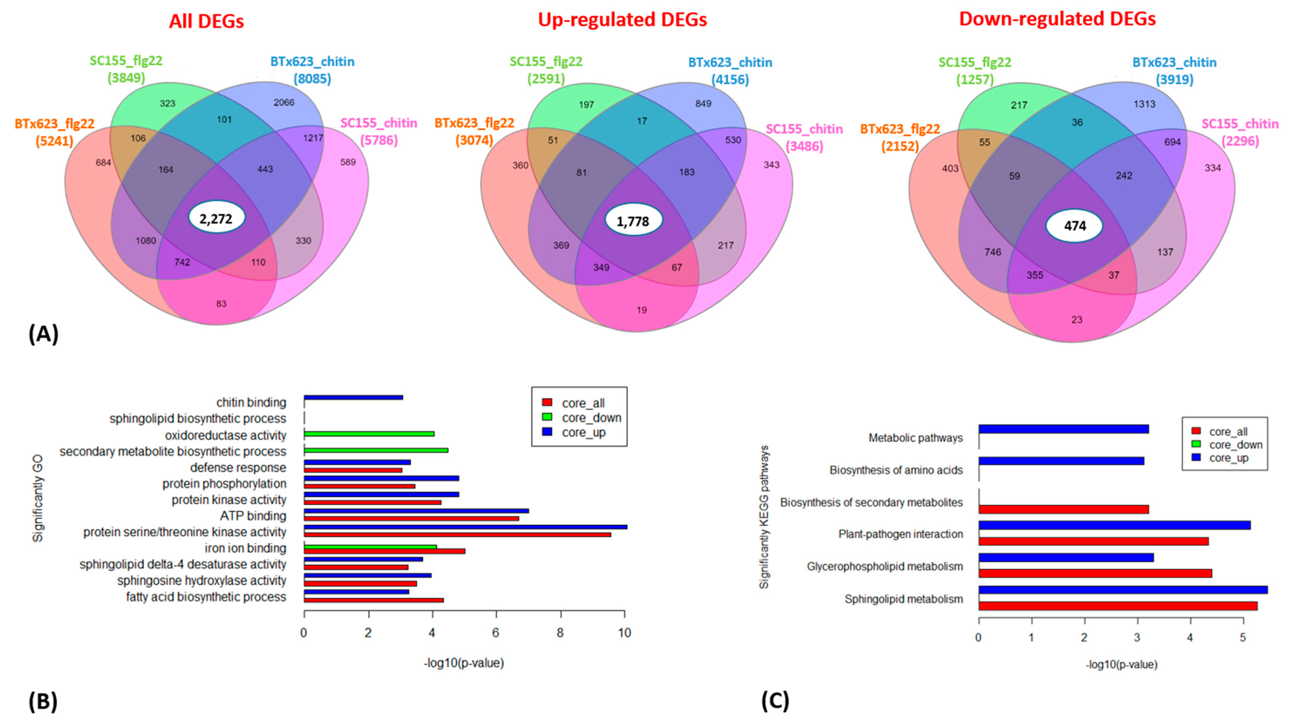 Plants 10 01536 g004 550