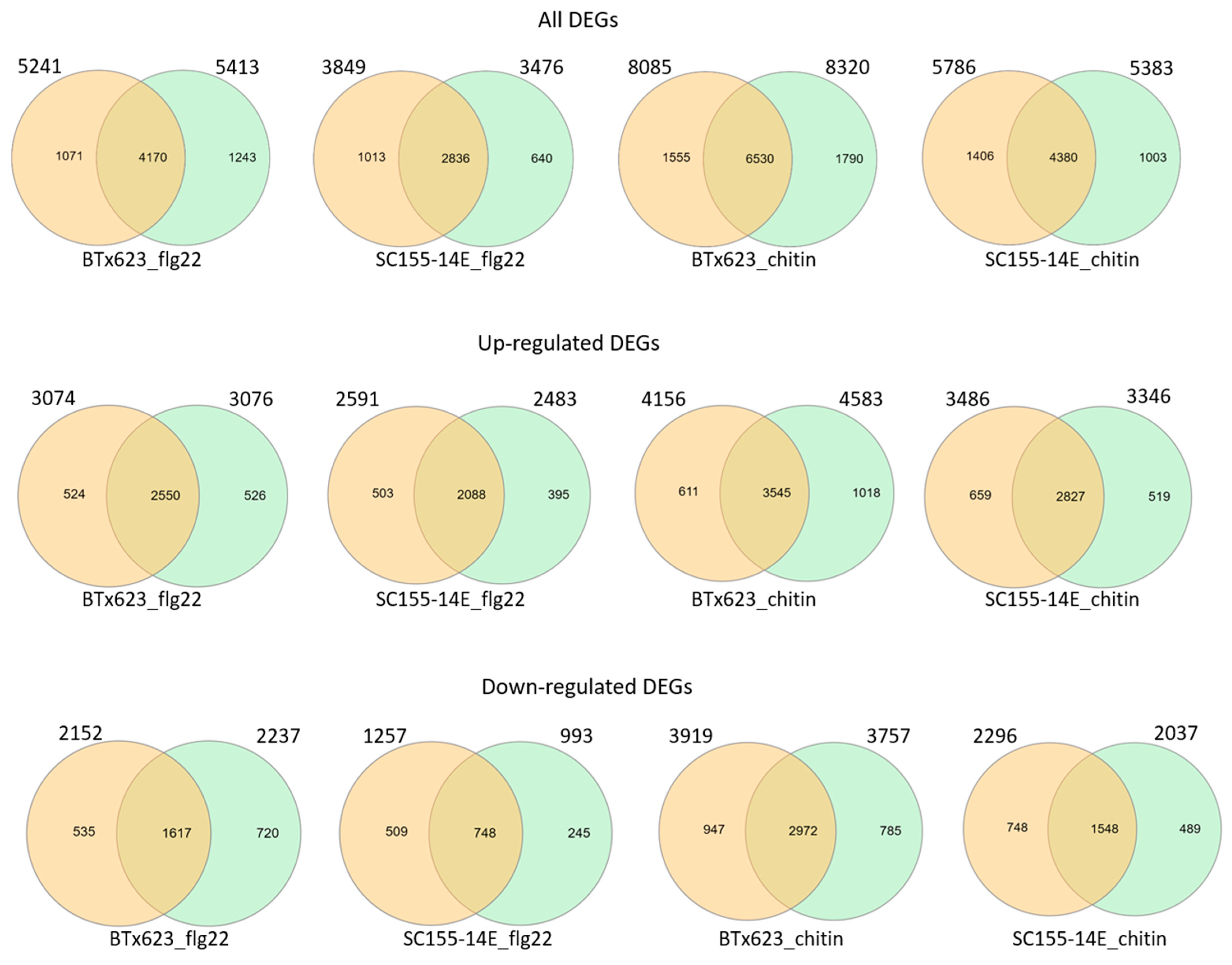 Plants 10 01536 g005 550