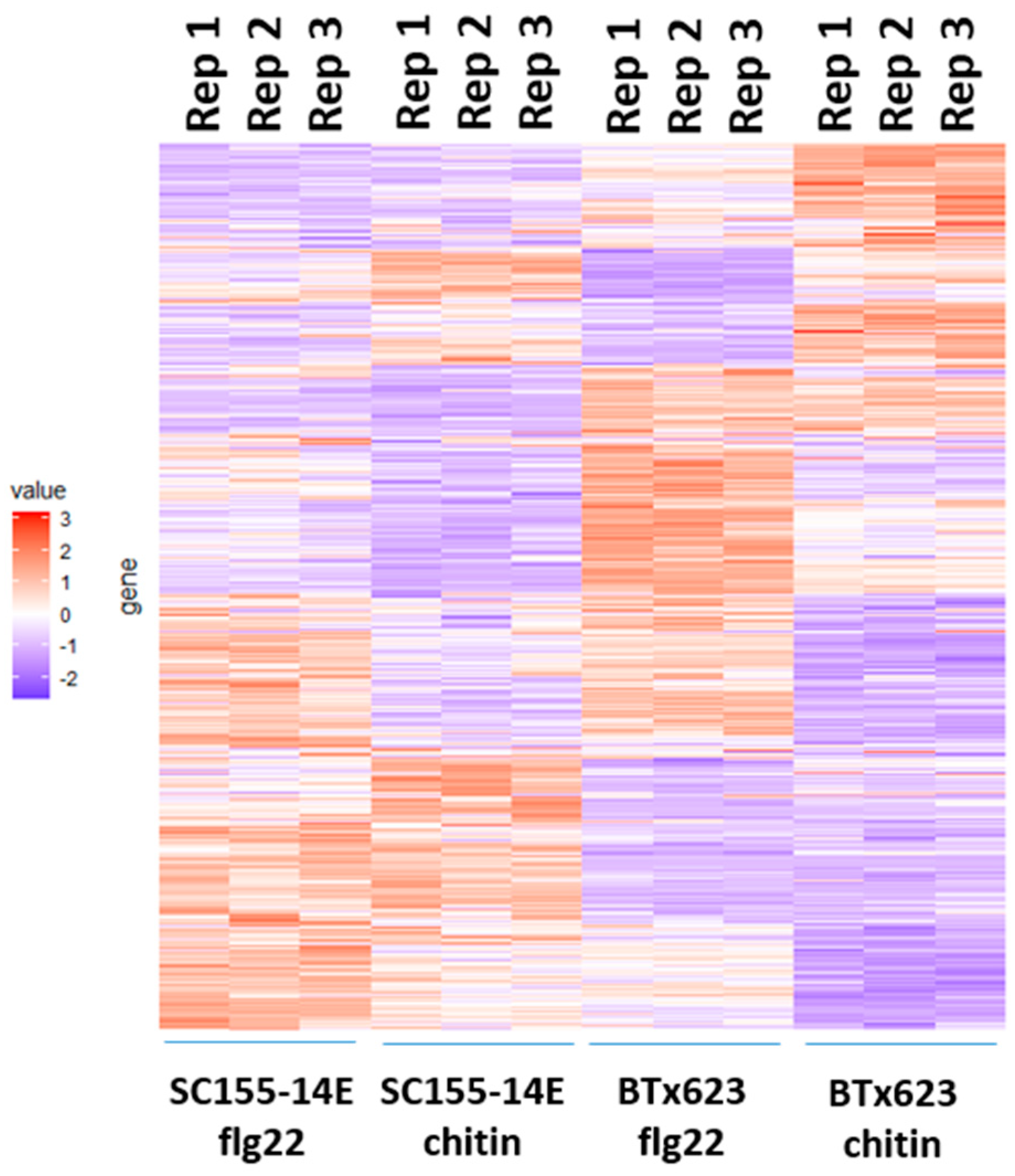 Plants 10 01536 g006 550