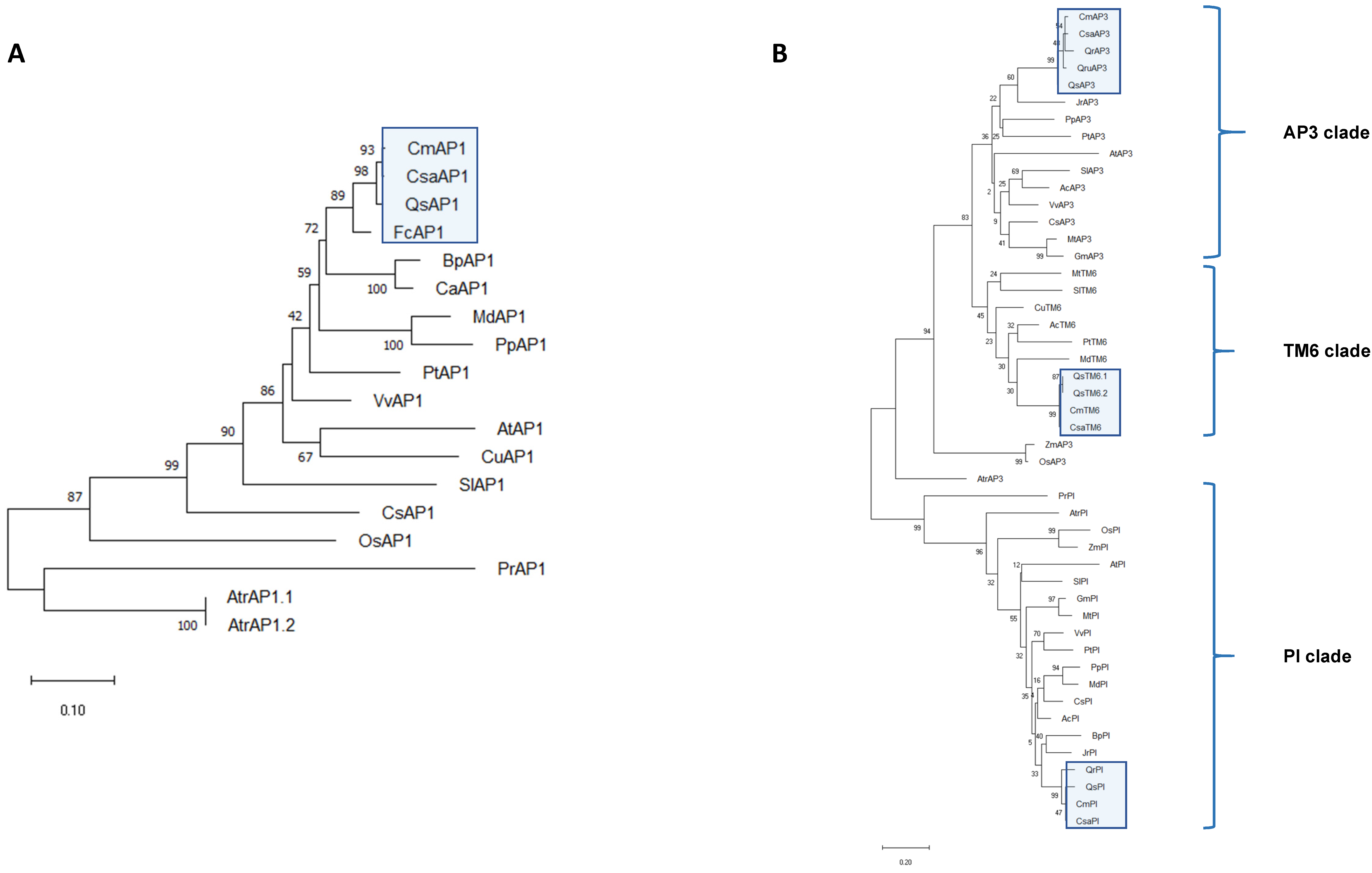 Plants 10 01538 g002a 550