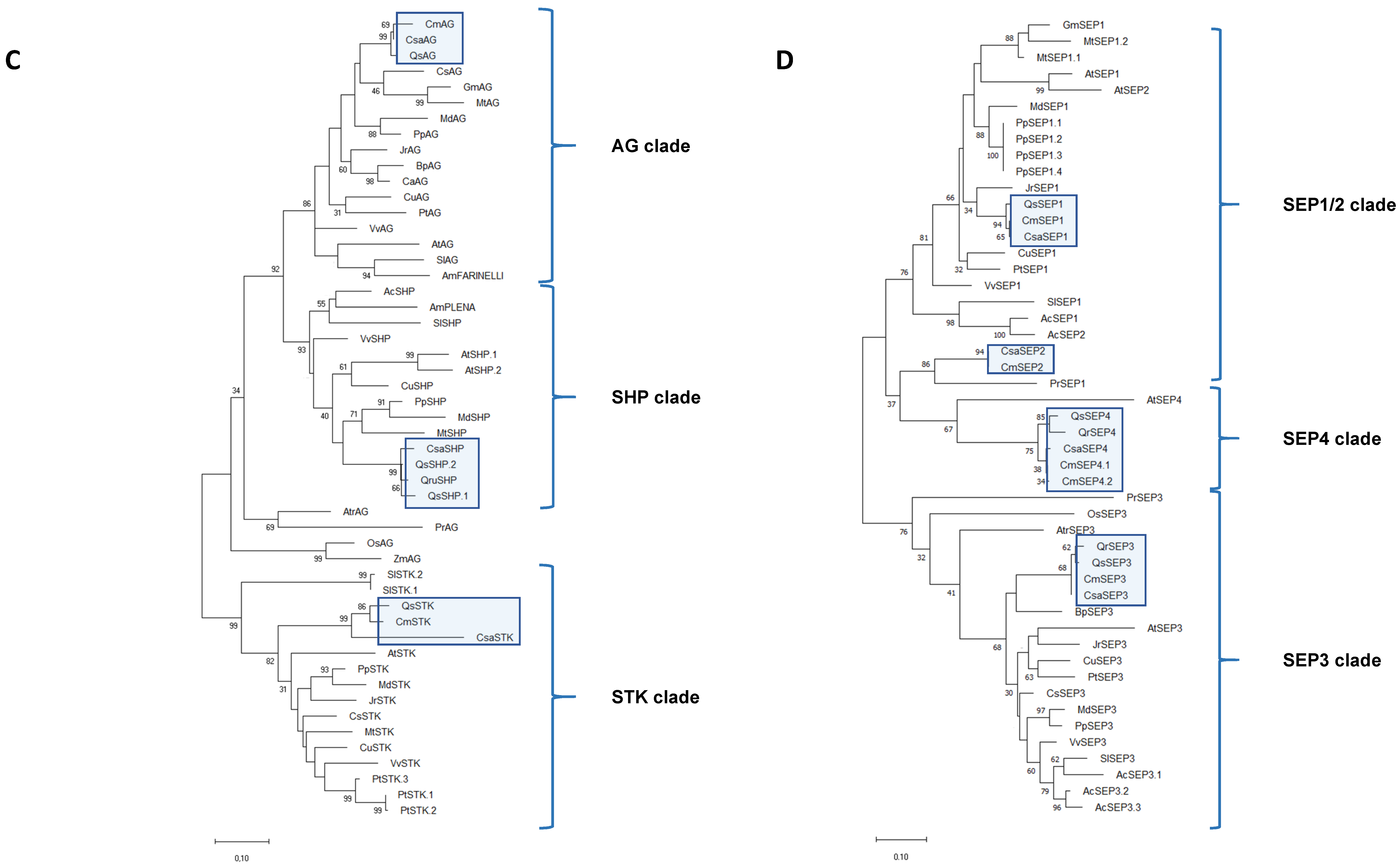 Plants 10 01538 g002b 550