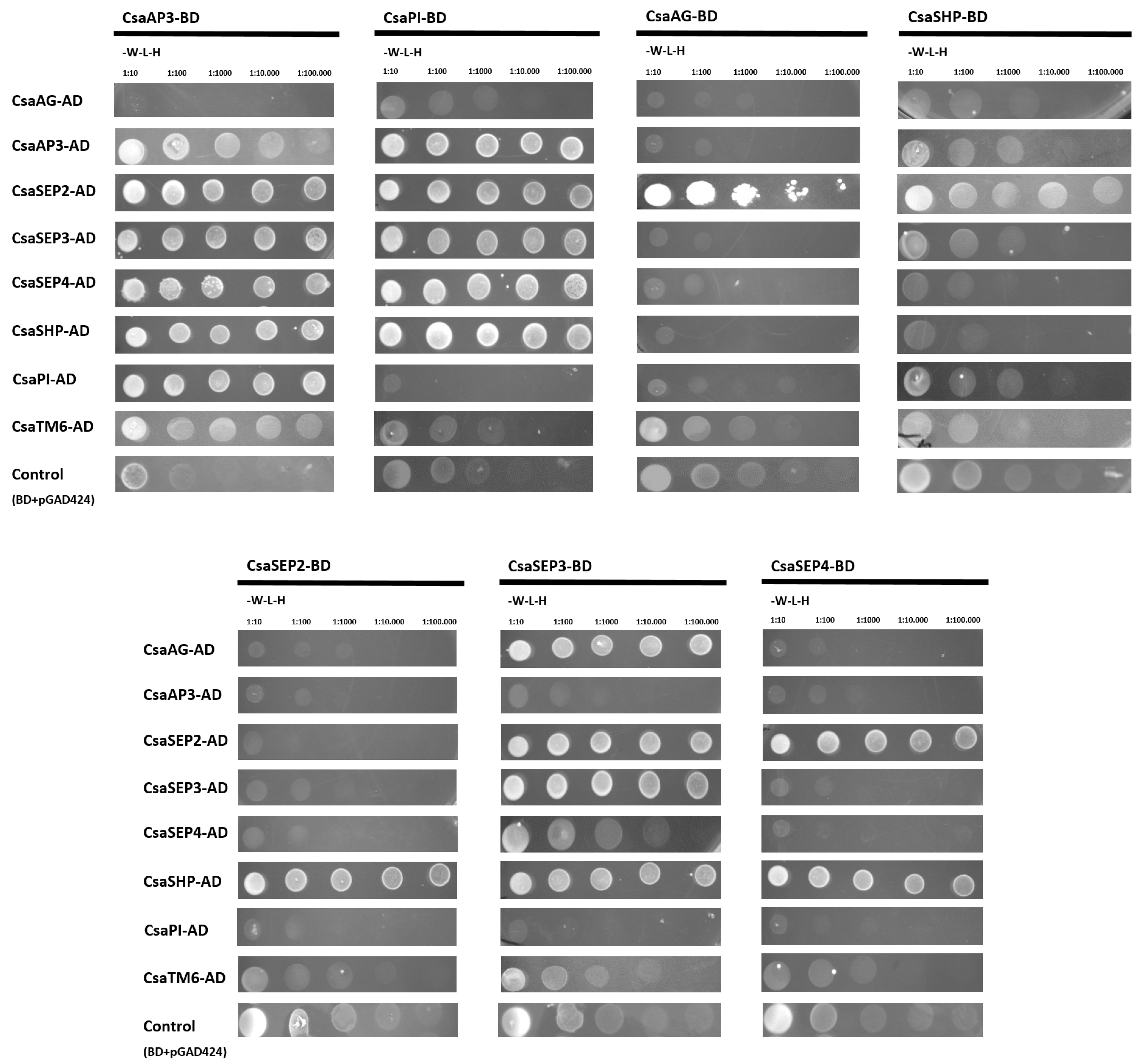 Plants 10 01538 g005 550