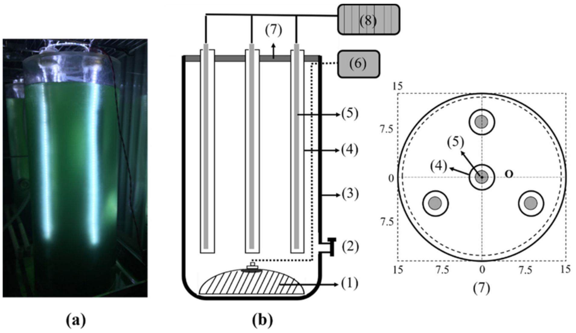 Plants 10 01540 g004