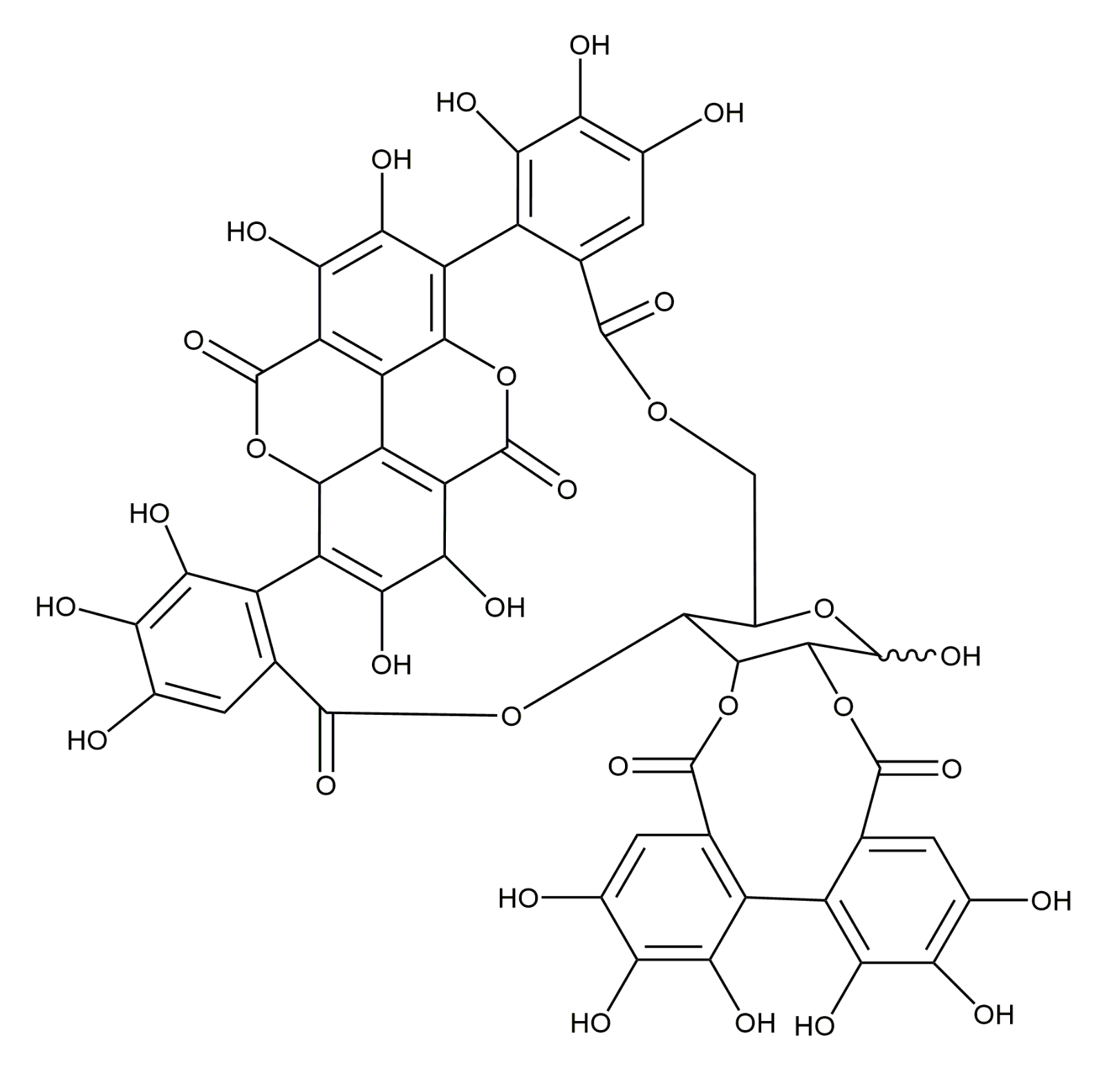 Plants 10 01554 g001 Plants 10 01554 g001