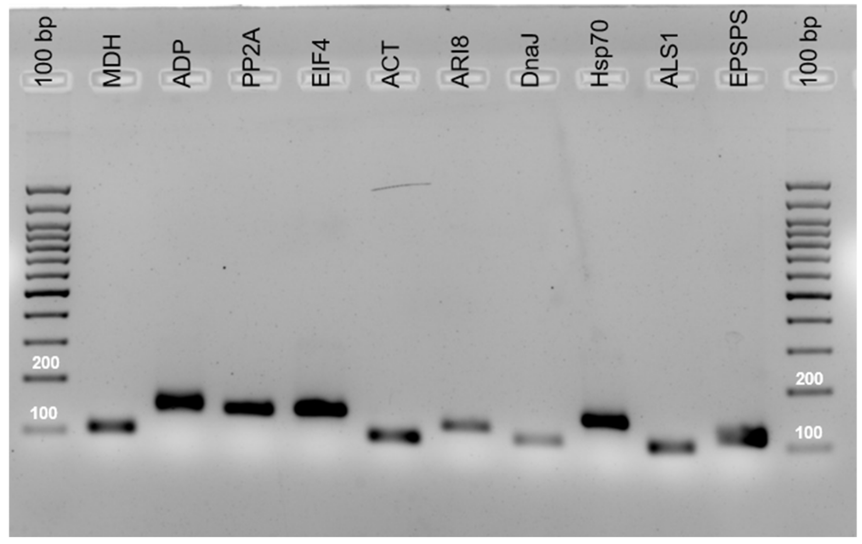 Plants 10 01555 g001 550