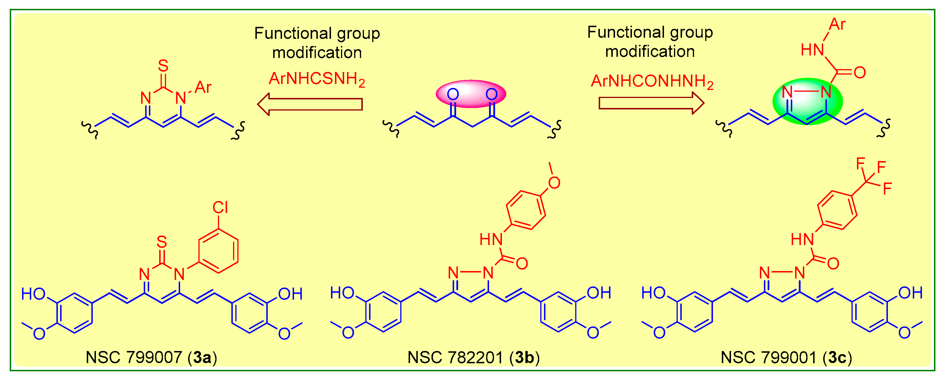 Plants 10 01559 g001