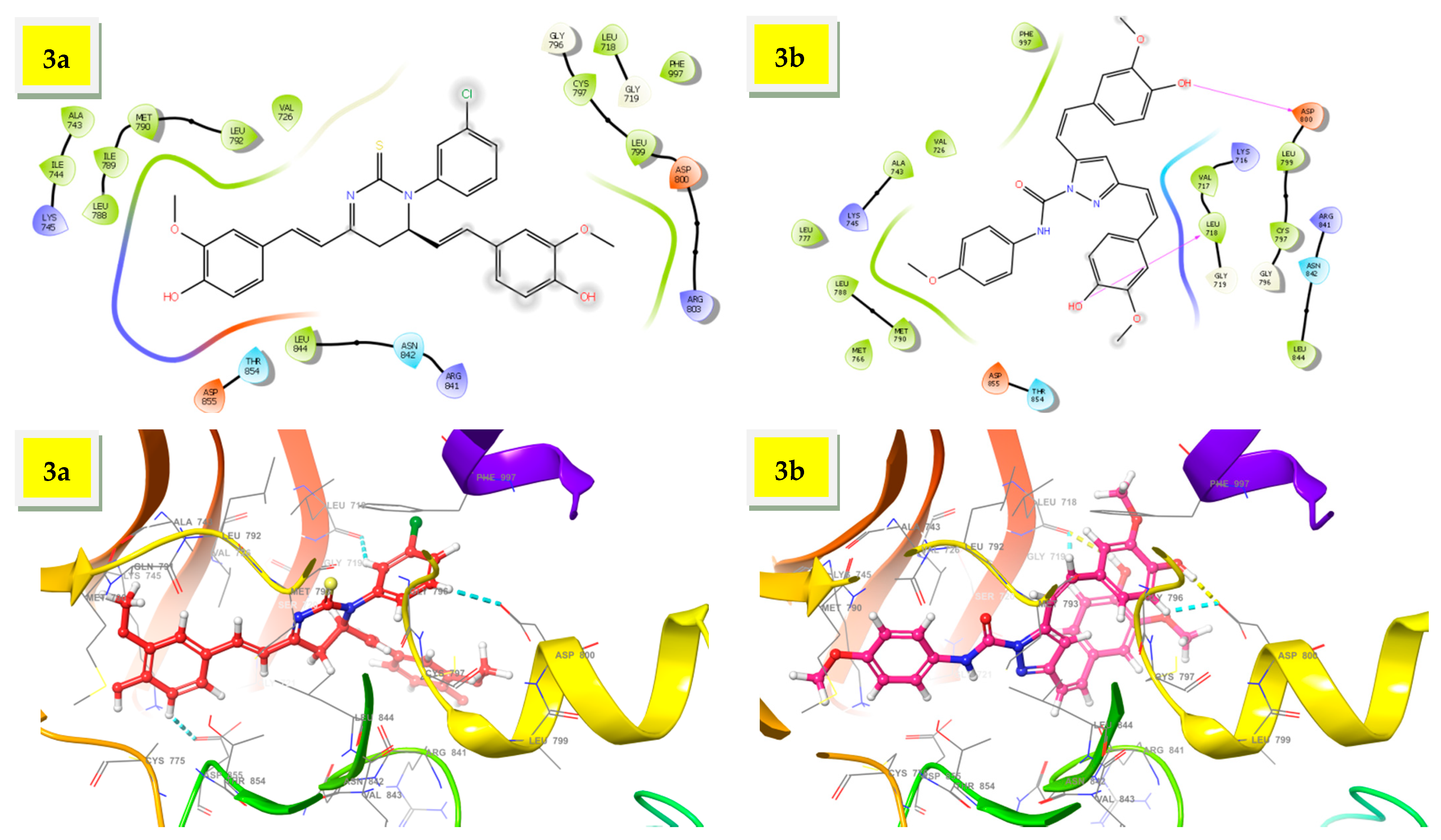 Plants 10 01559 g003