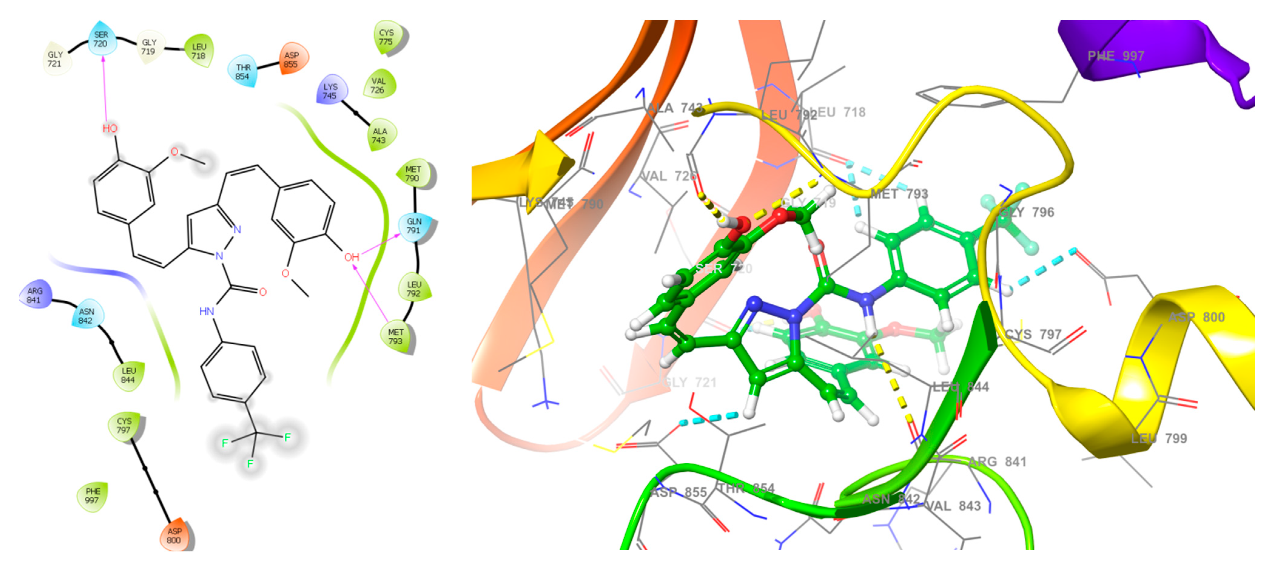 Plants 10 01559 g004