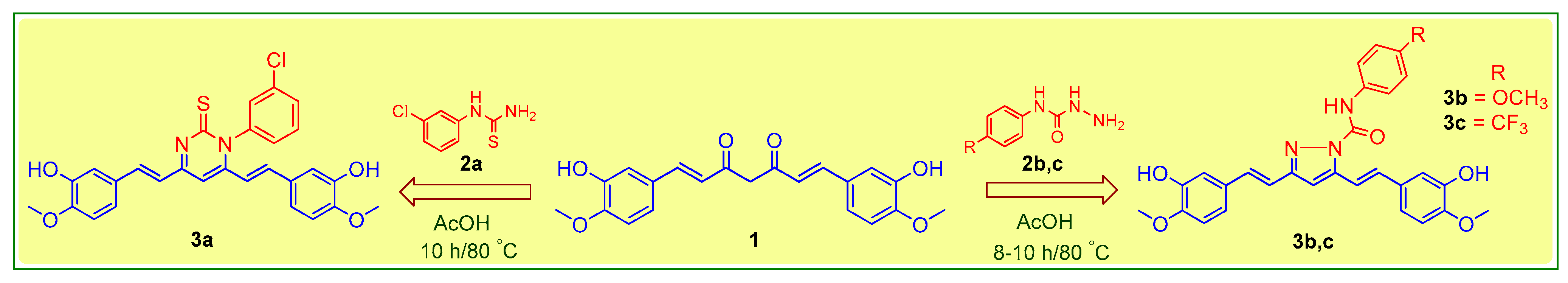 Plants 10 01559 sch001