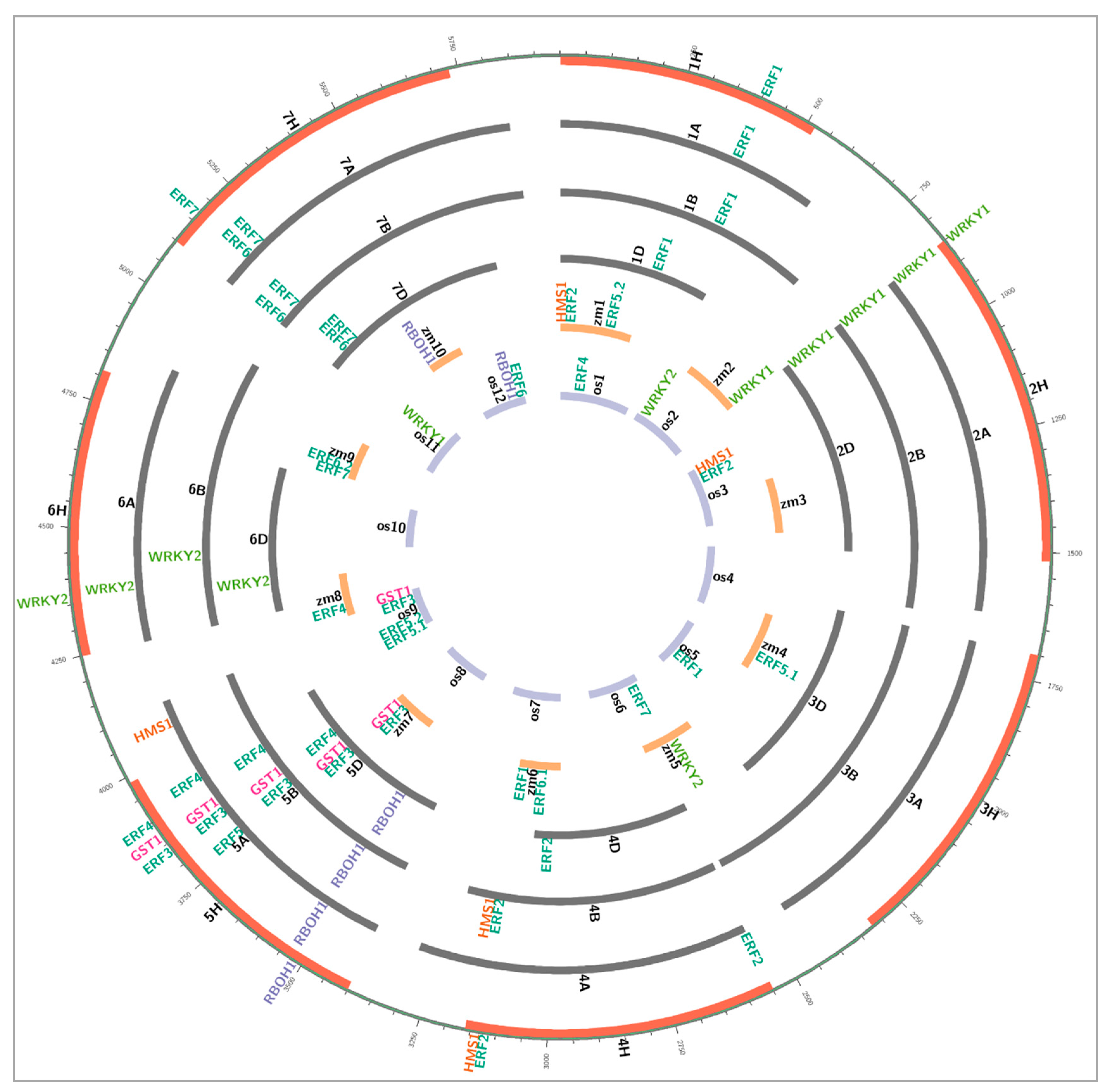 Plants 10 01560 g002