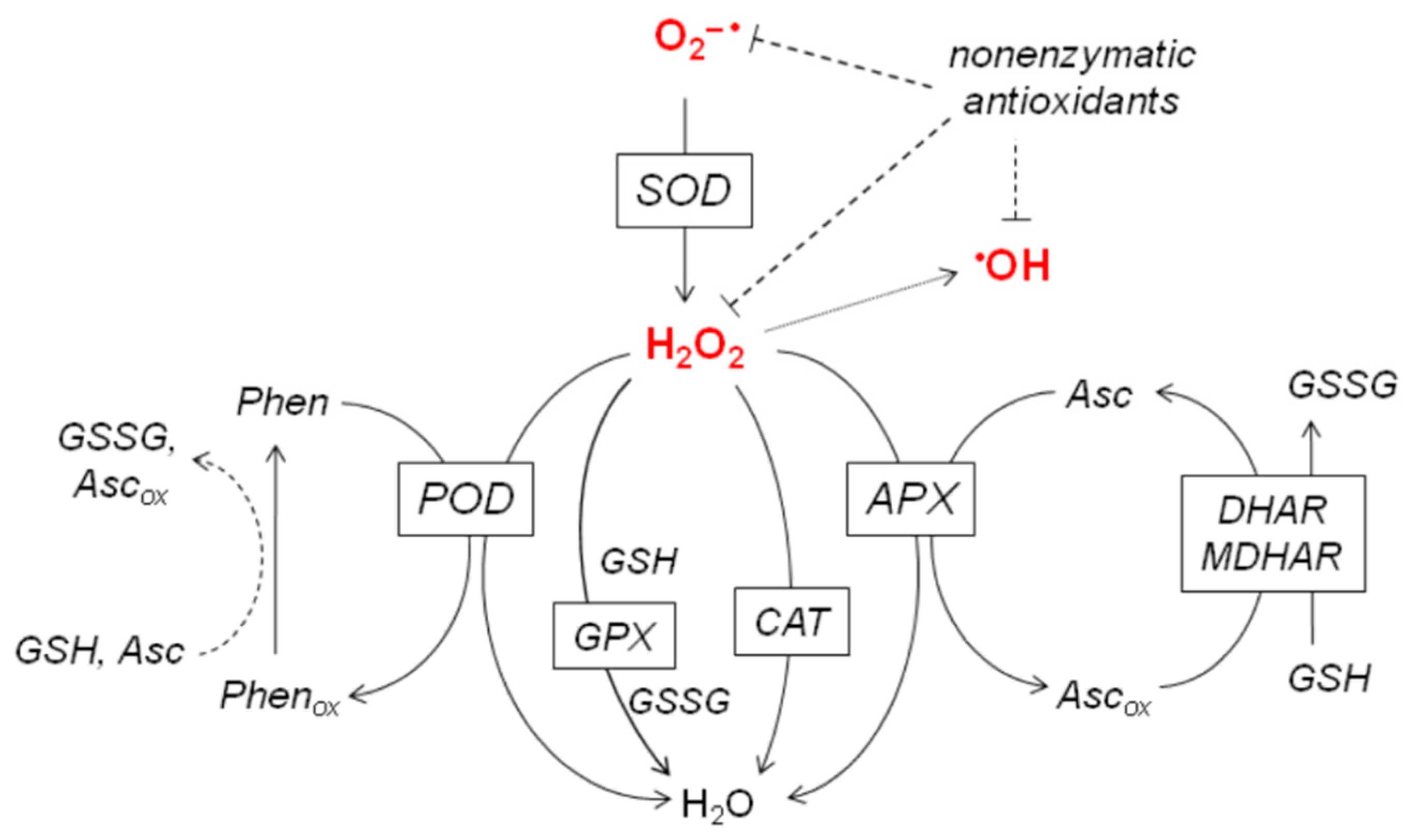 Plants 10 01570 g001 550