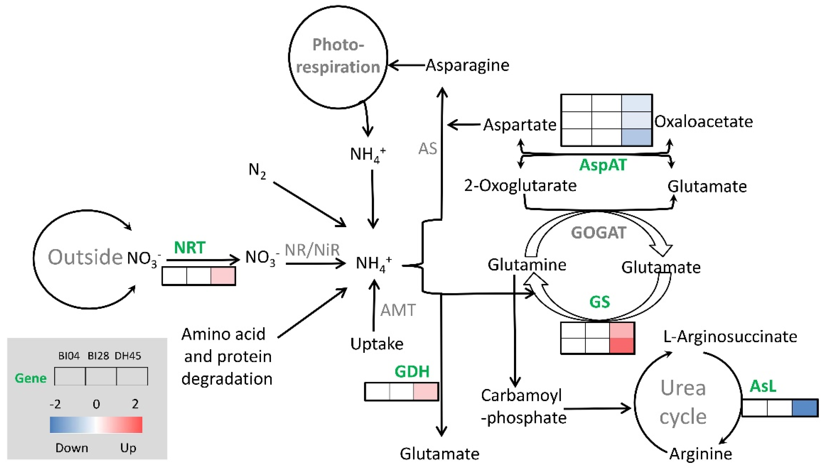 Plants 10 01588 g006