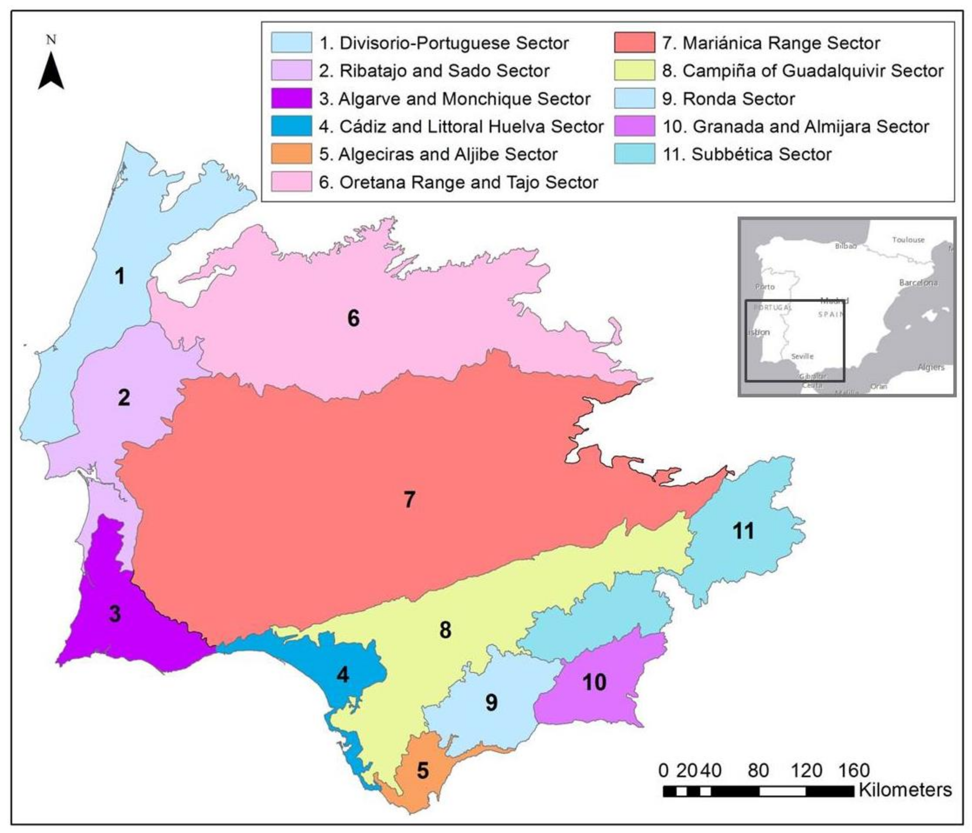 Plants 10 01590 g001