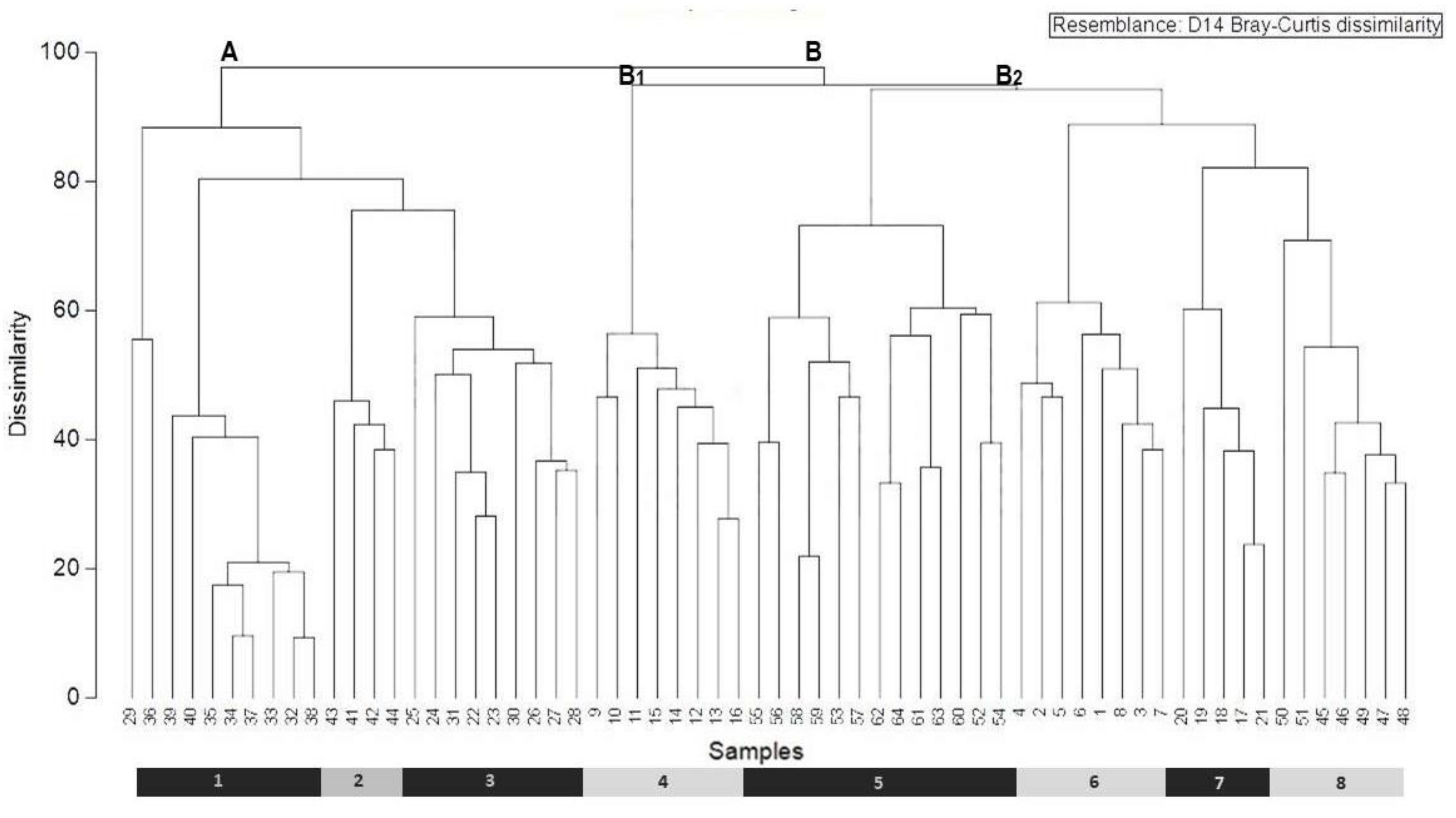 Plants 10 01590 g002