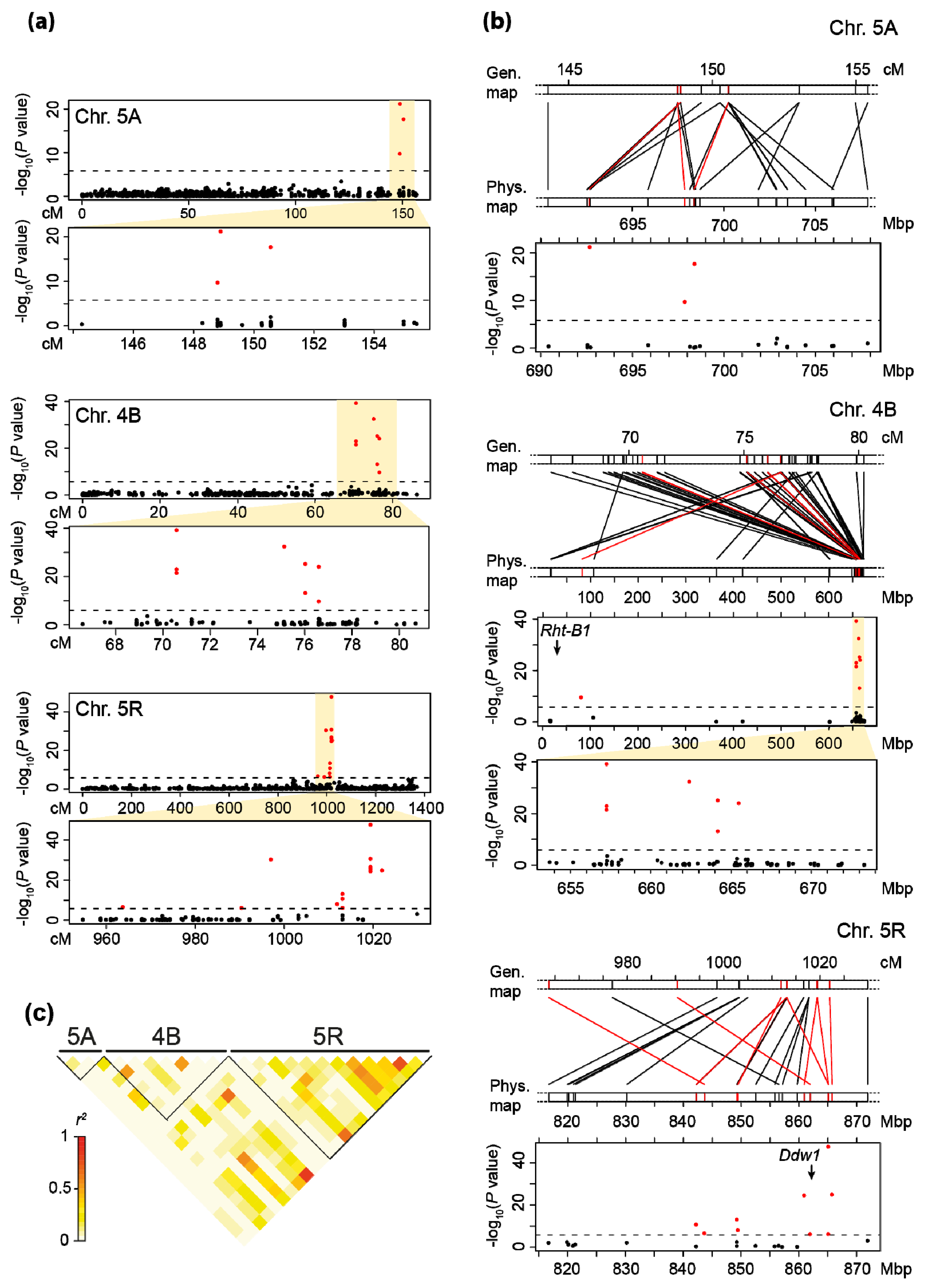 Plants 10 01592 g003