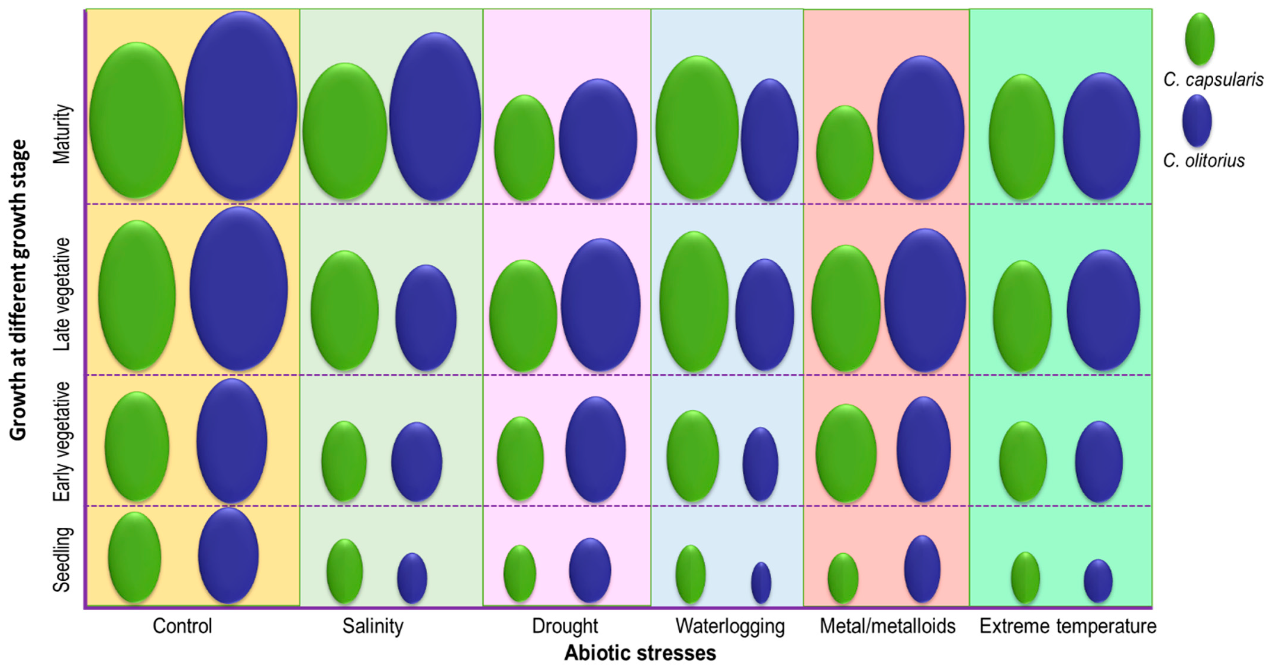Plants 10 01595 g003 Plants 10 01595 g003