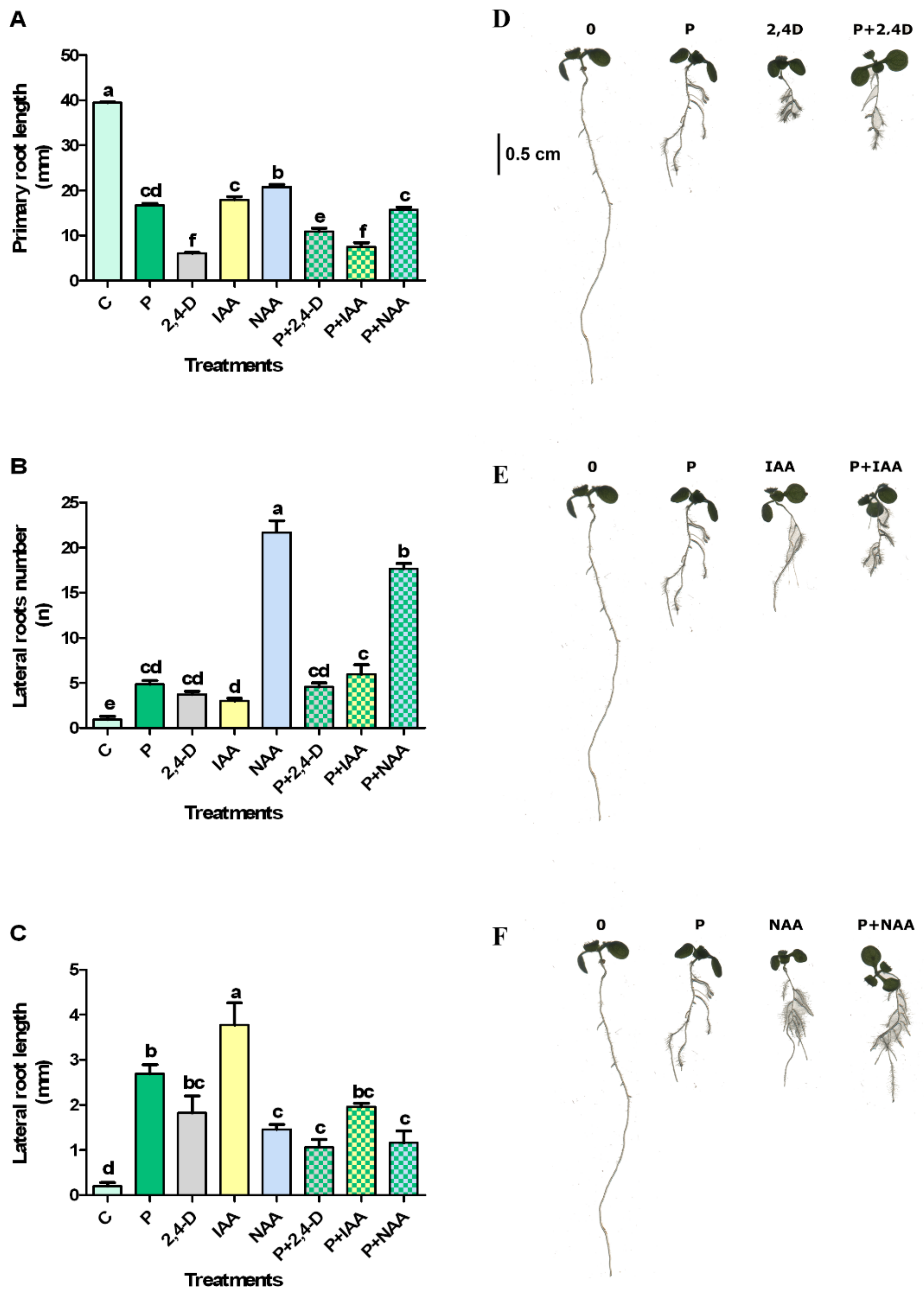 Plants 10 01600 g003 550
