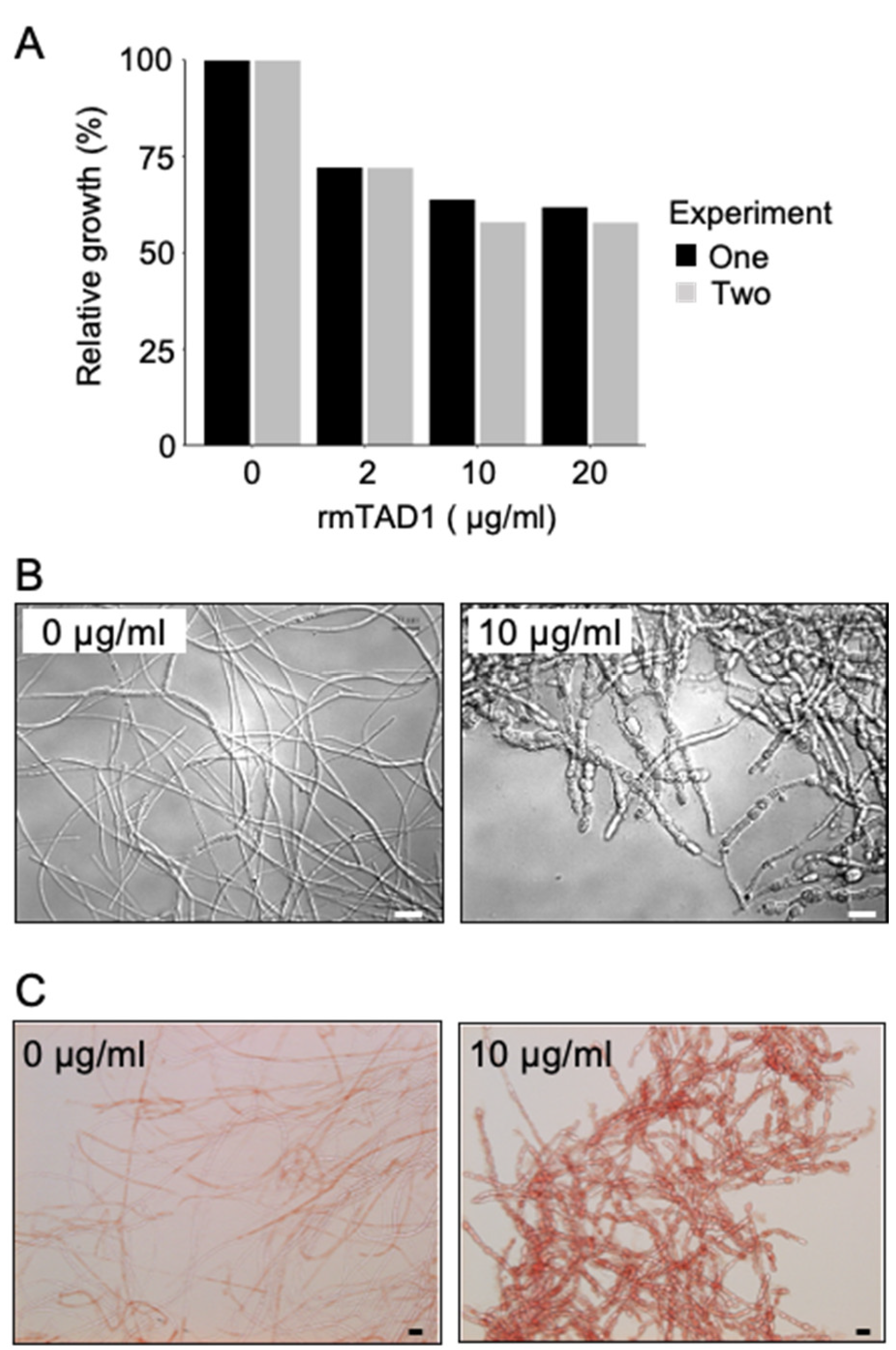 Plants 10 01607 g003