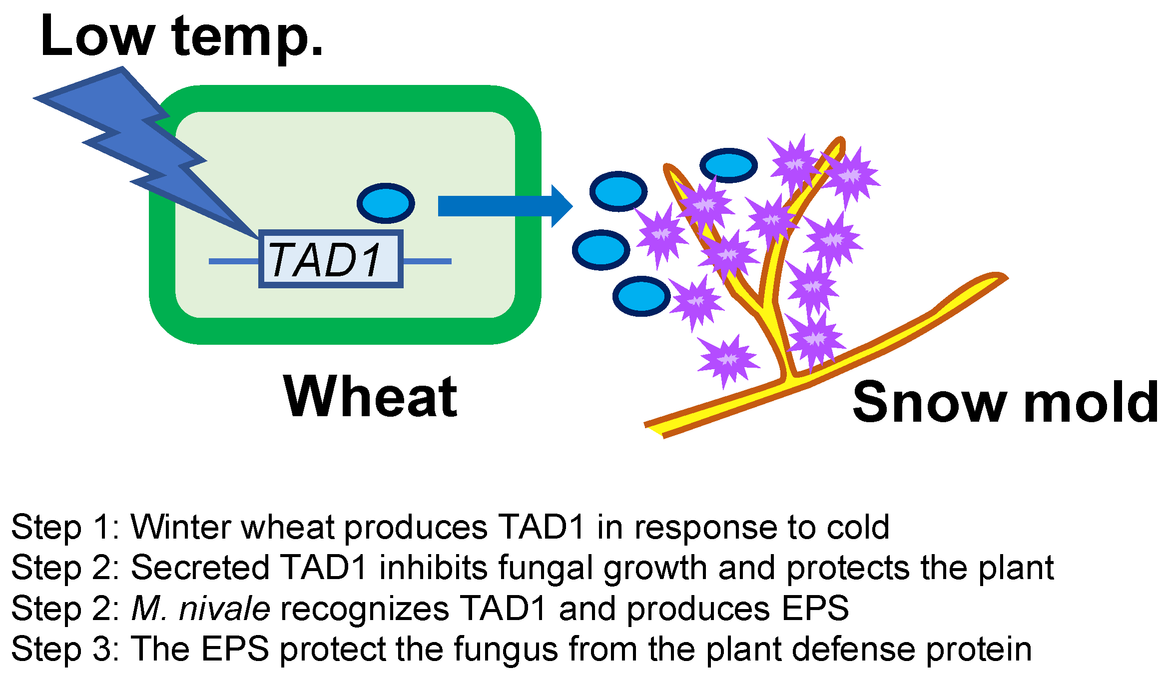 Plants 10 01607 g005