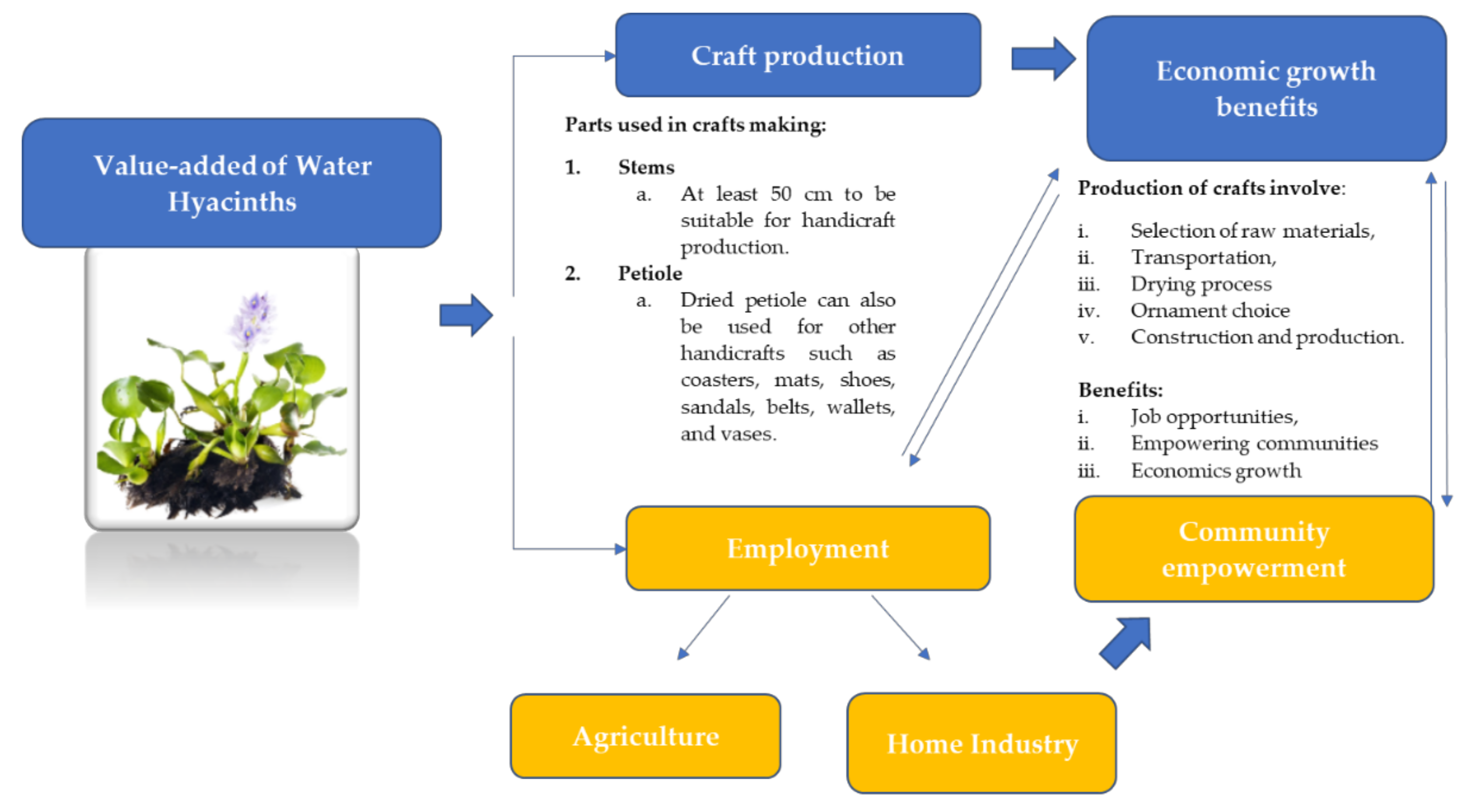 Plants 10 01613 g003