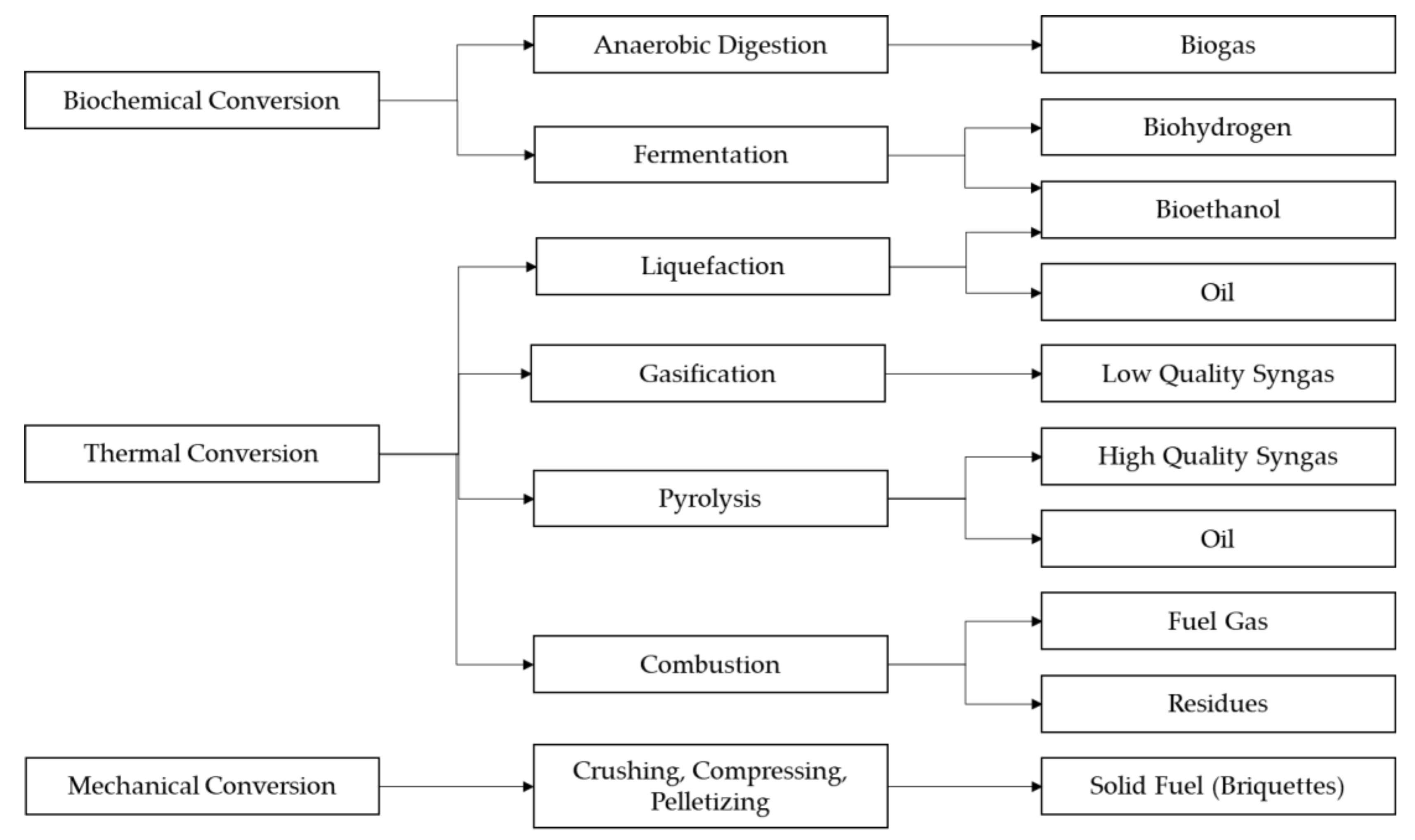 Plants 10 01613 g004