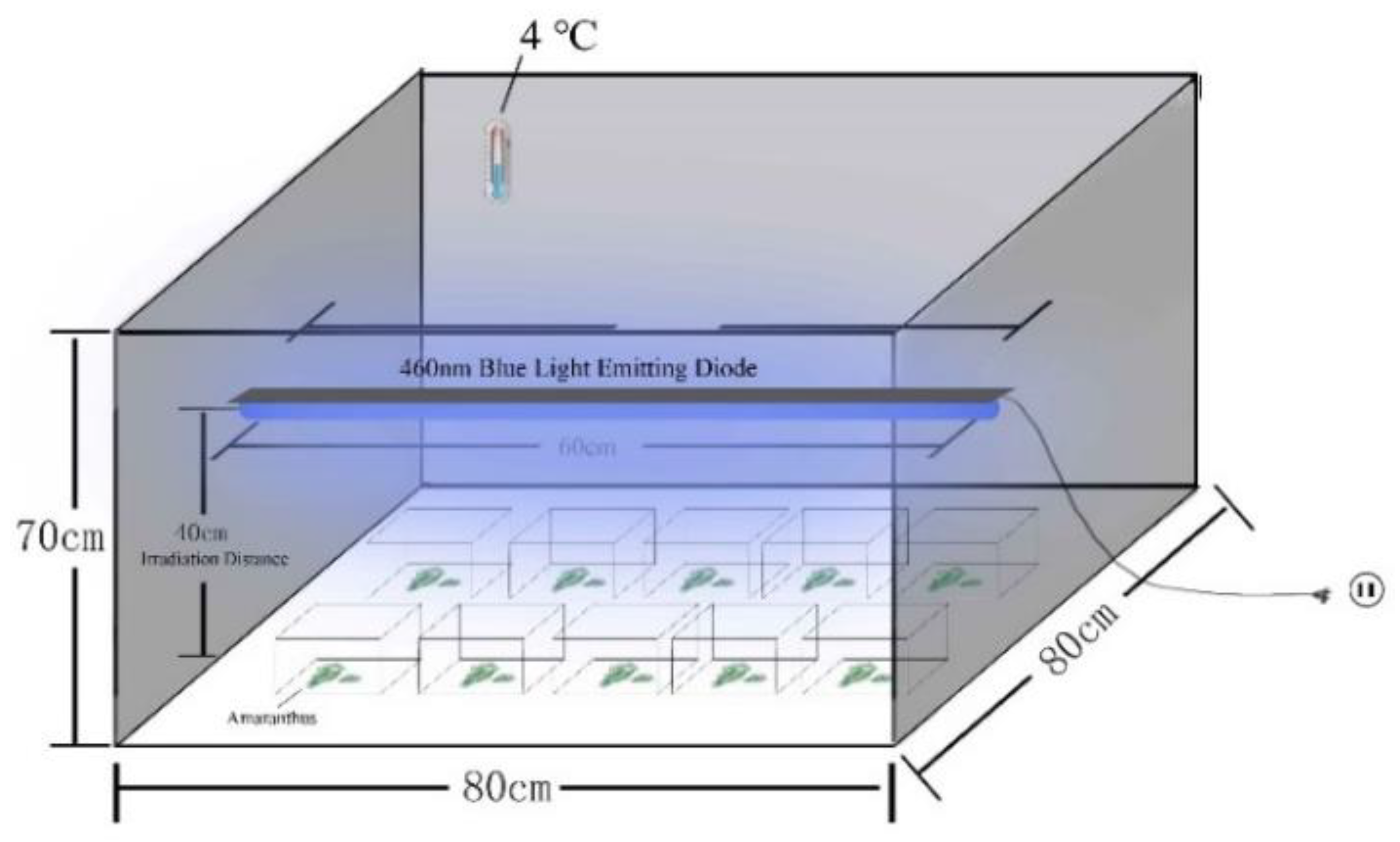 Plants 10 01614 g001 Plants 10 01614 g001