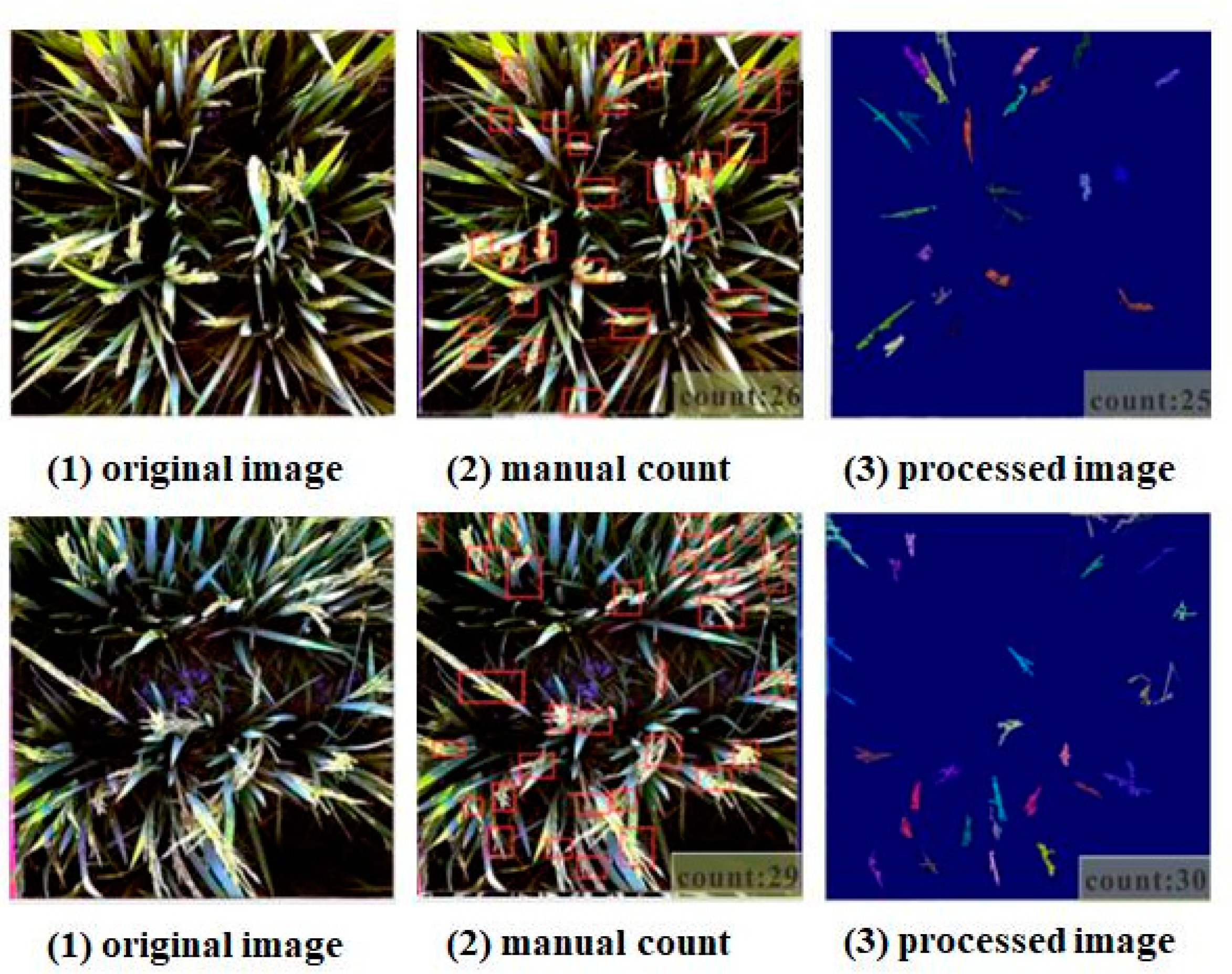 Plants 10 01625 g008