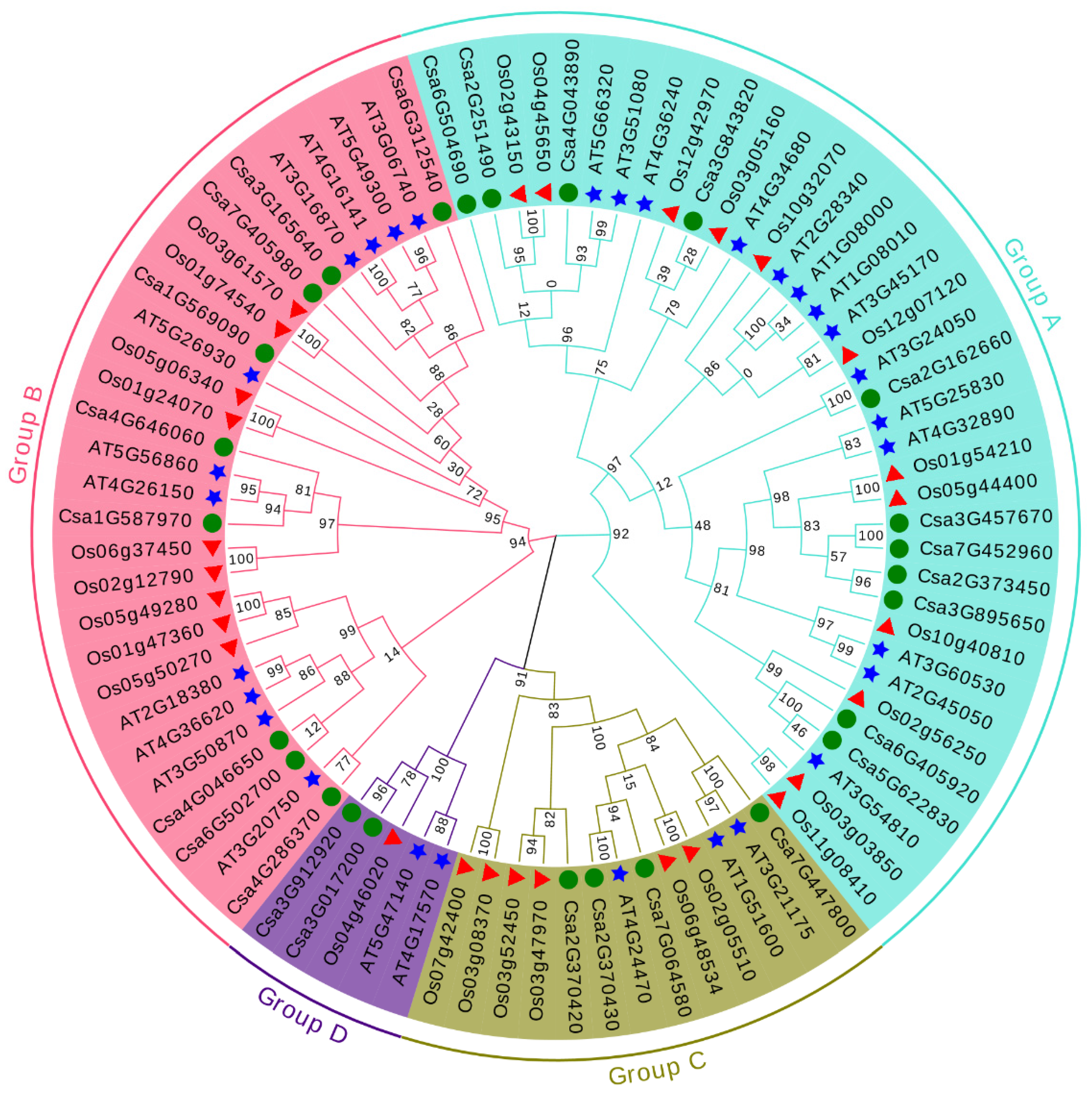 Plants 10 01626 g001 550
