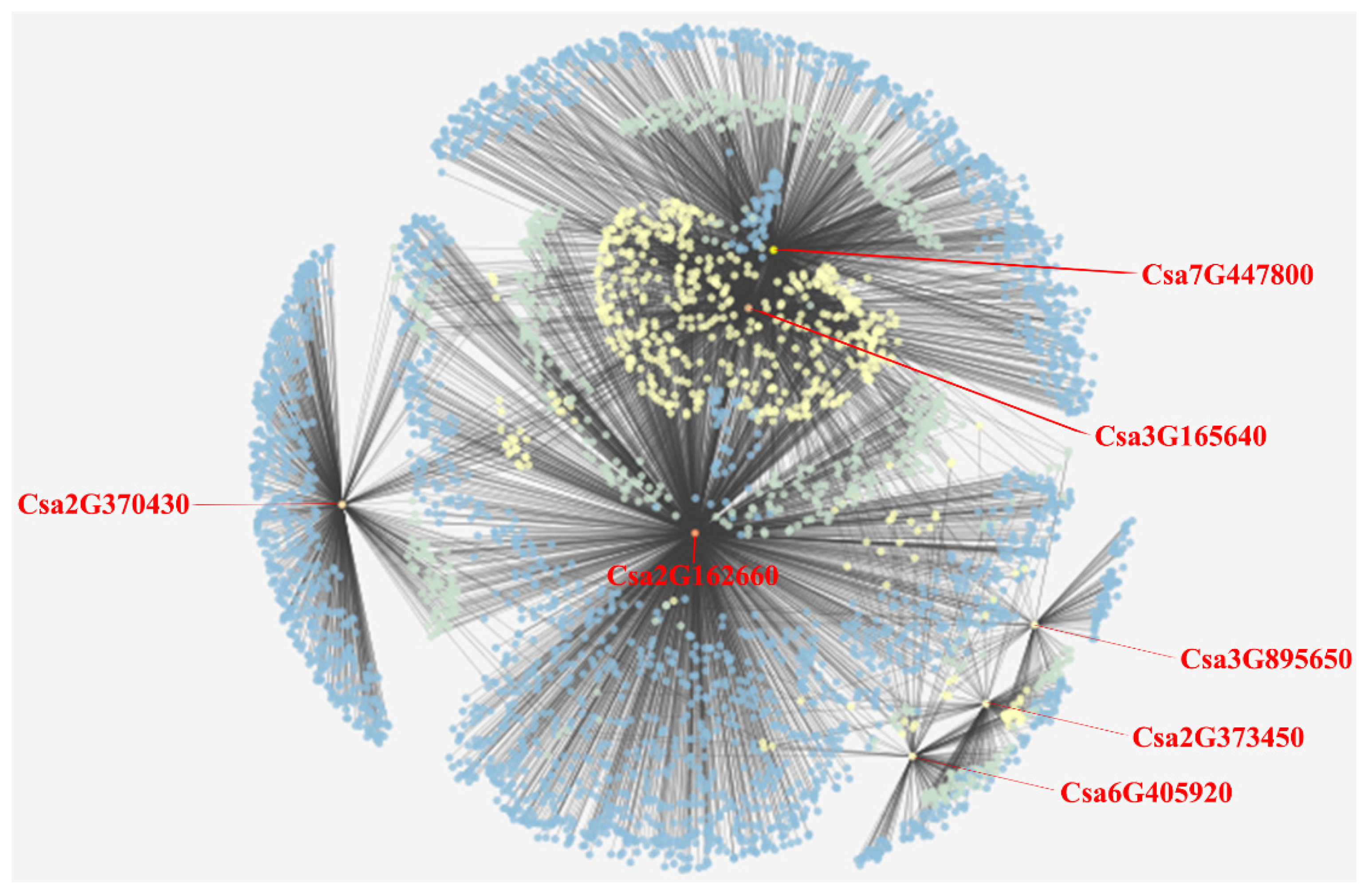 Plants 10 01626 g006 550