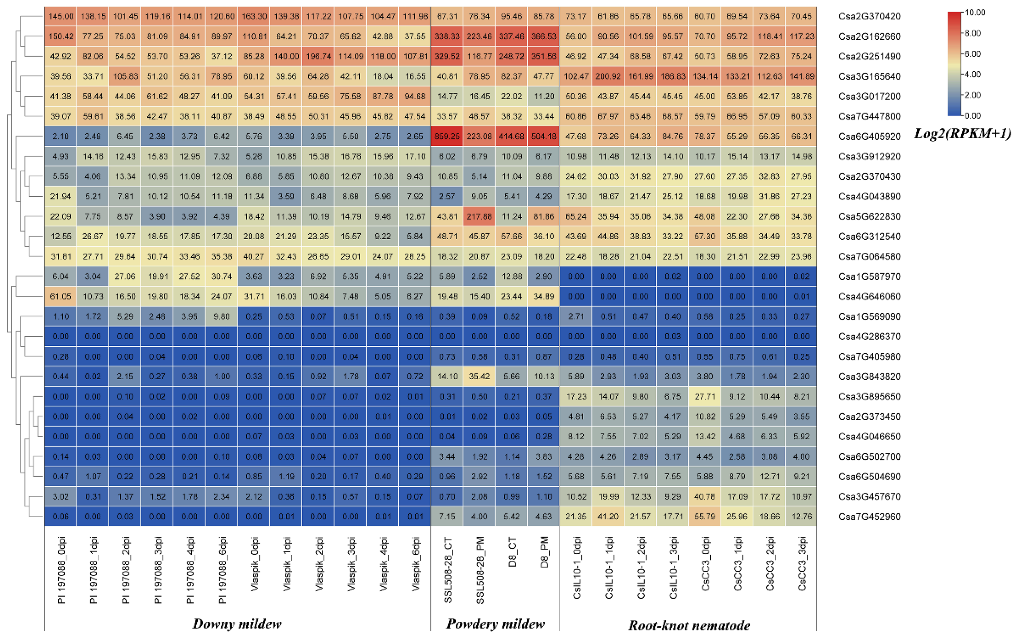 Plants 10 01626 g010 550