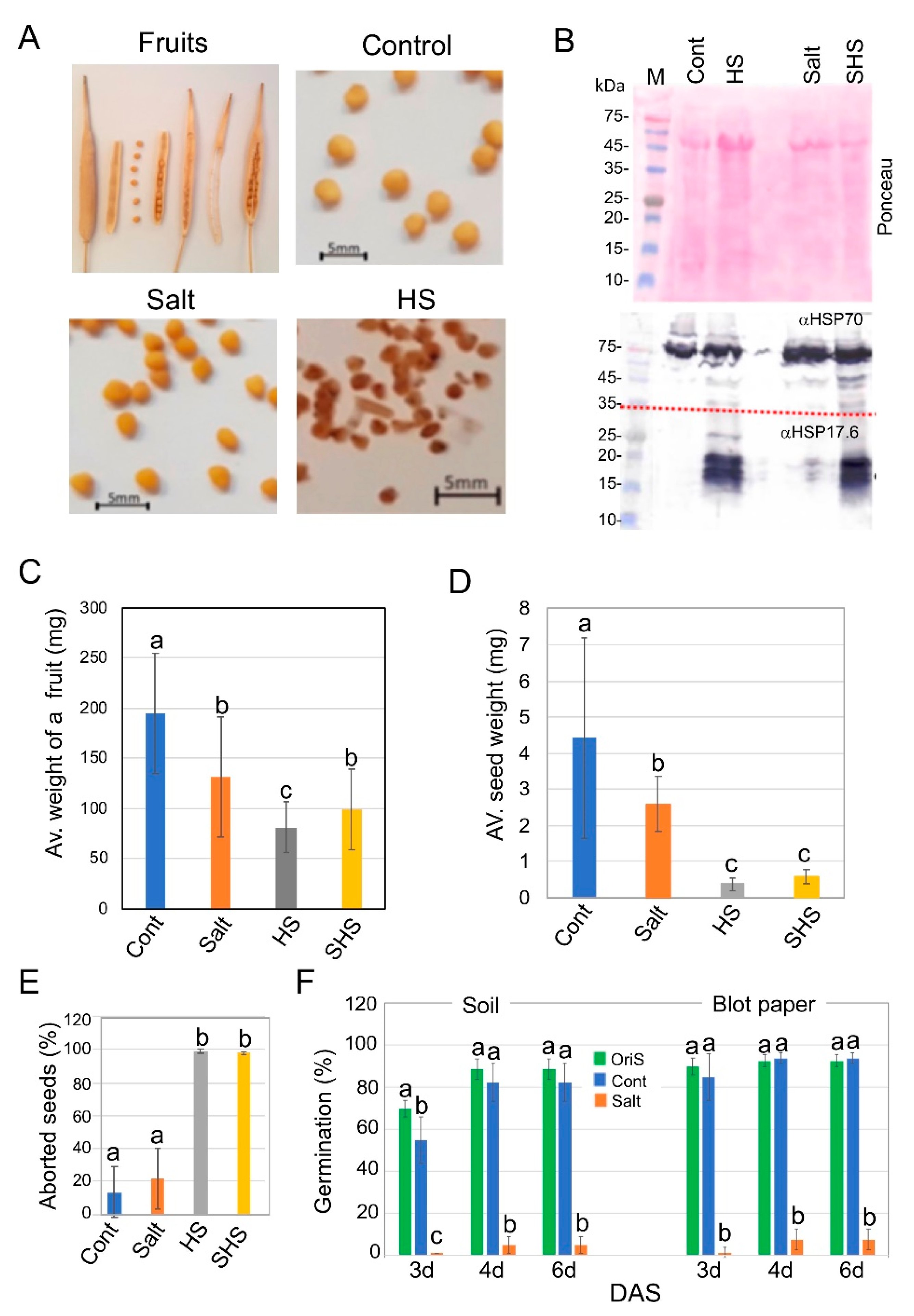 Plants 10 01627 g001 550