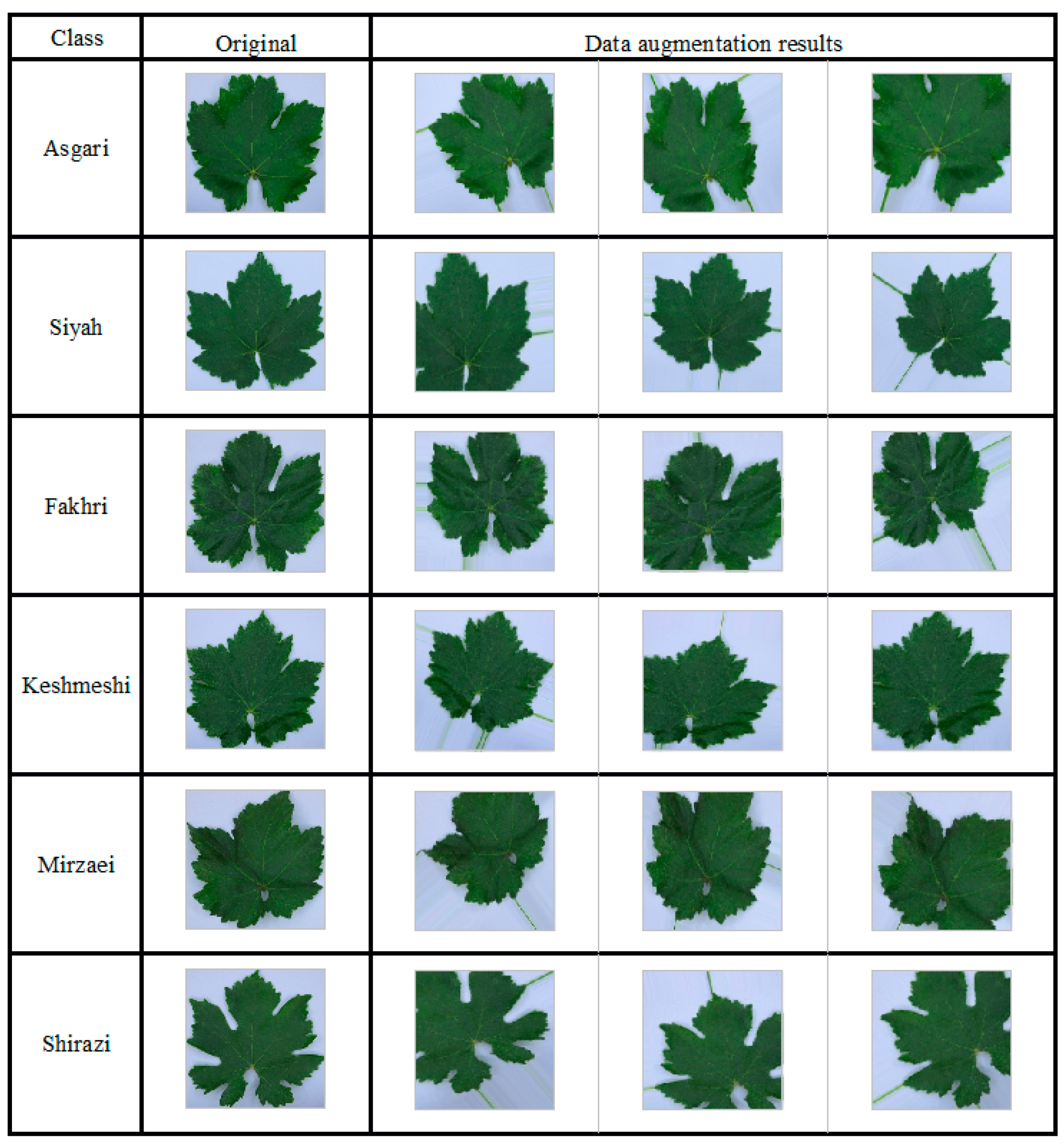 Plants 10 01628 g003 550