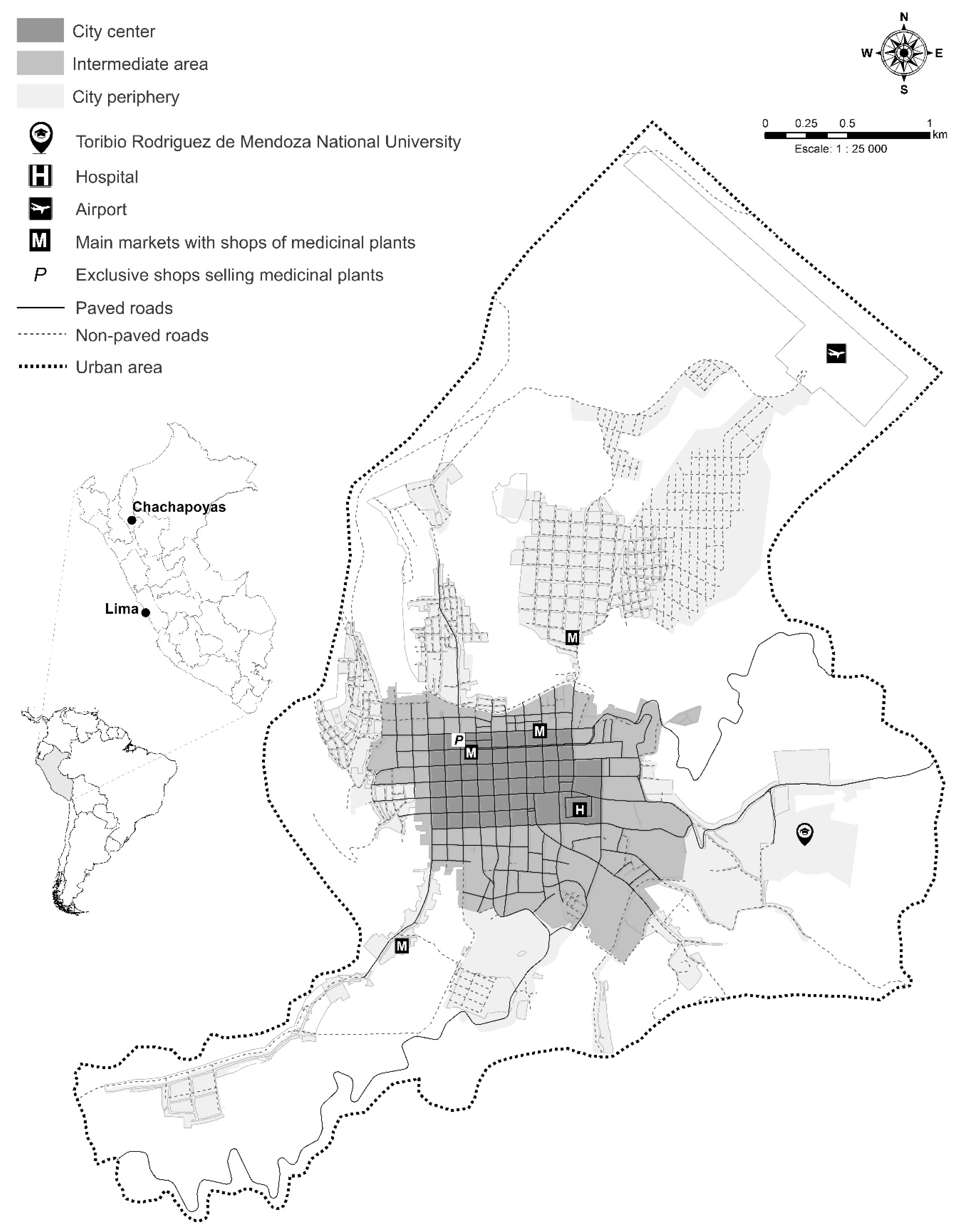 Plants 10 01634 g004