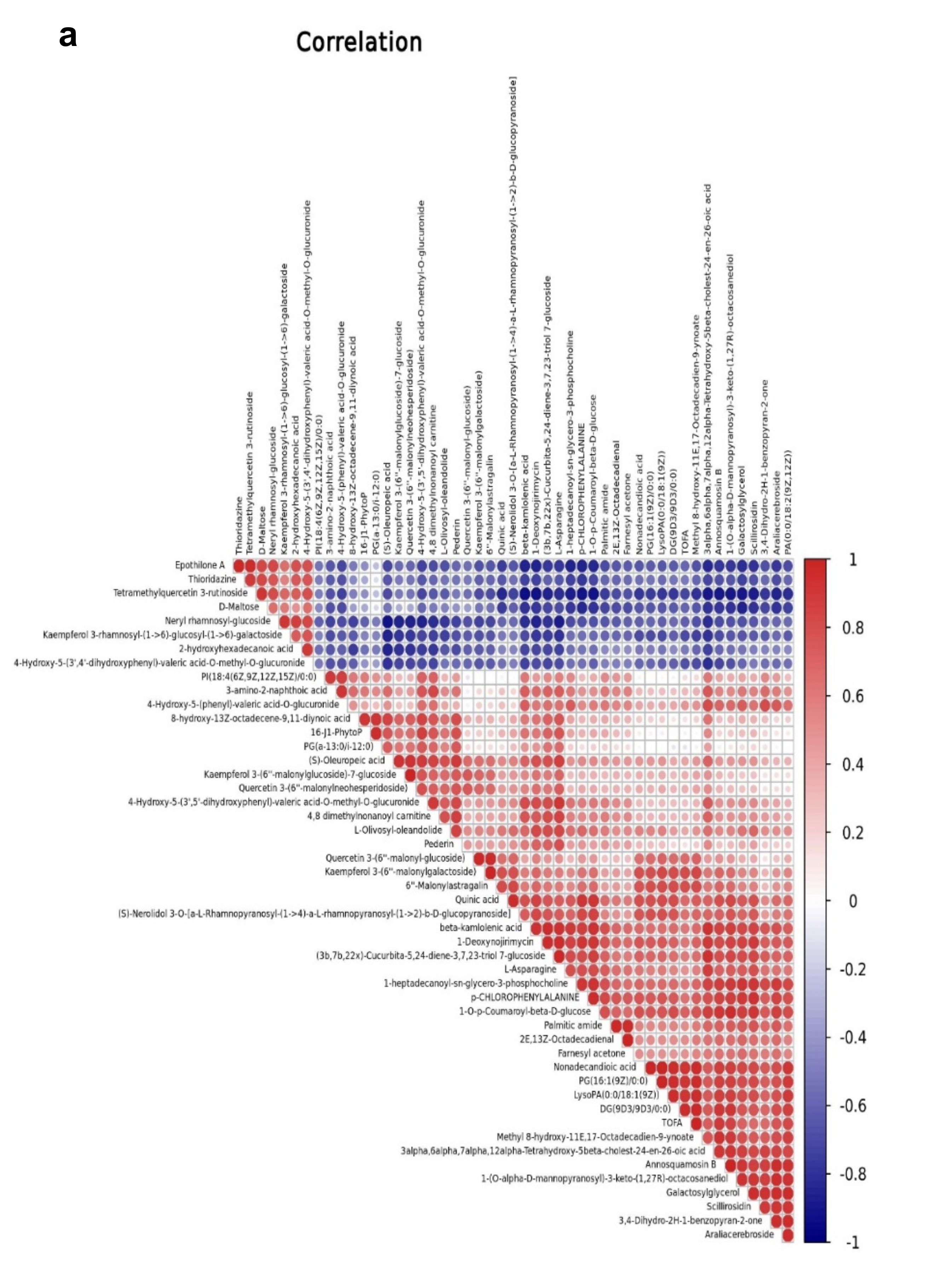 Plants 10 01636 g008a