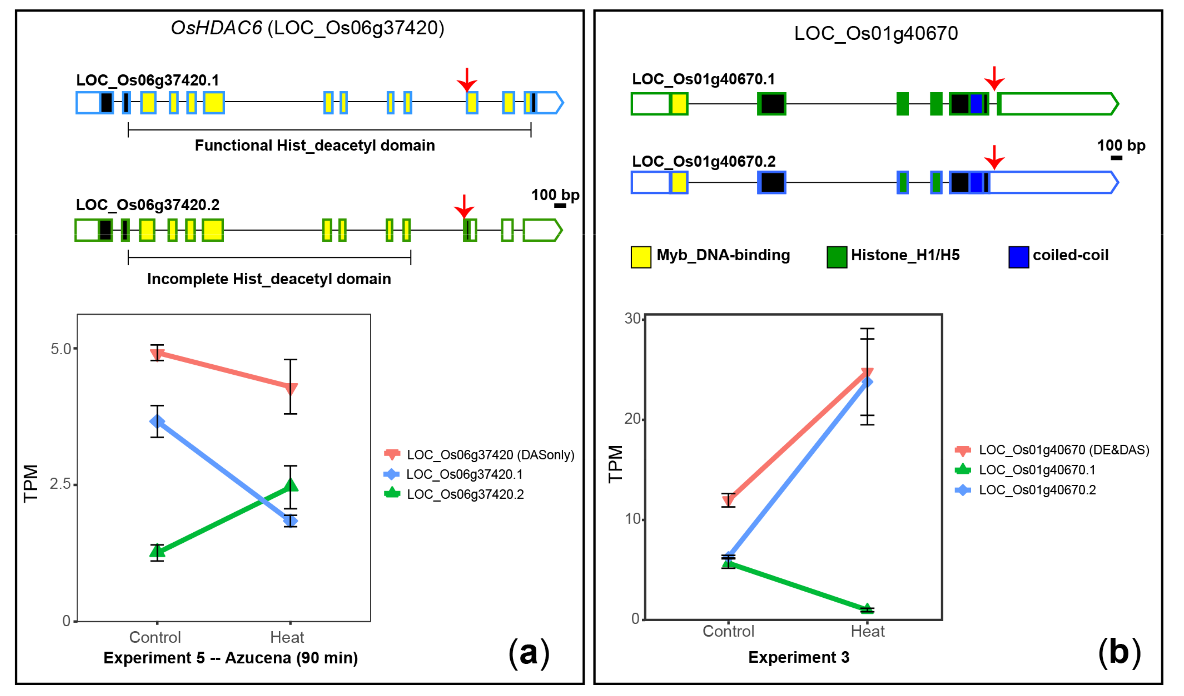 Plants 10 01647 g003 550