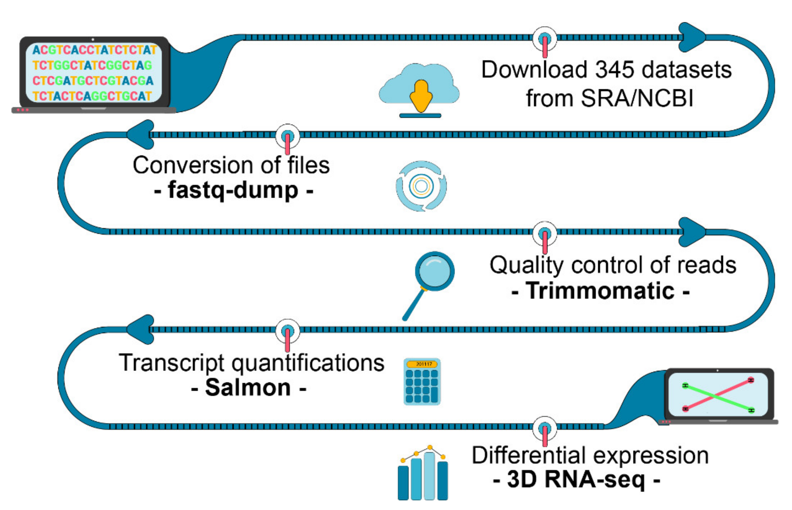 Plants 10 01647 g007 550