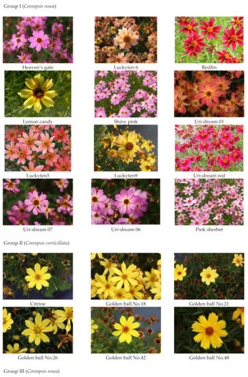 Plants Special Issue Isolation And Analysis Of Characteristic Compounds From Herbal And Plant Extracts