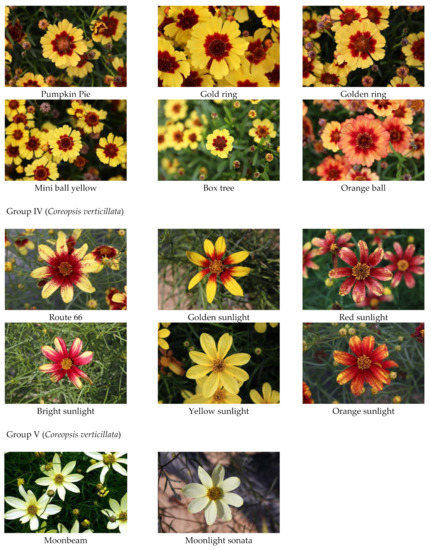 Plants Special Issue Isolation And Analysis Of Characteristic Compounds From Herbal And Plant Extracts Plants Special Issue Isolation And Analysis Of Characteristic Compounds From Herbal And Plant Extracts