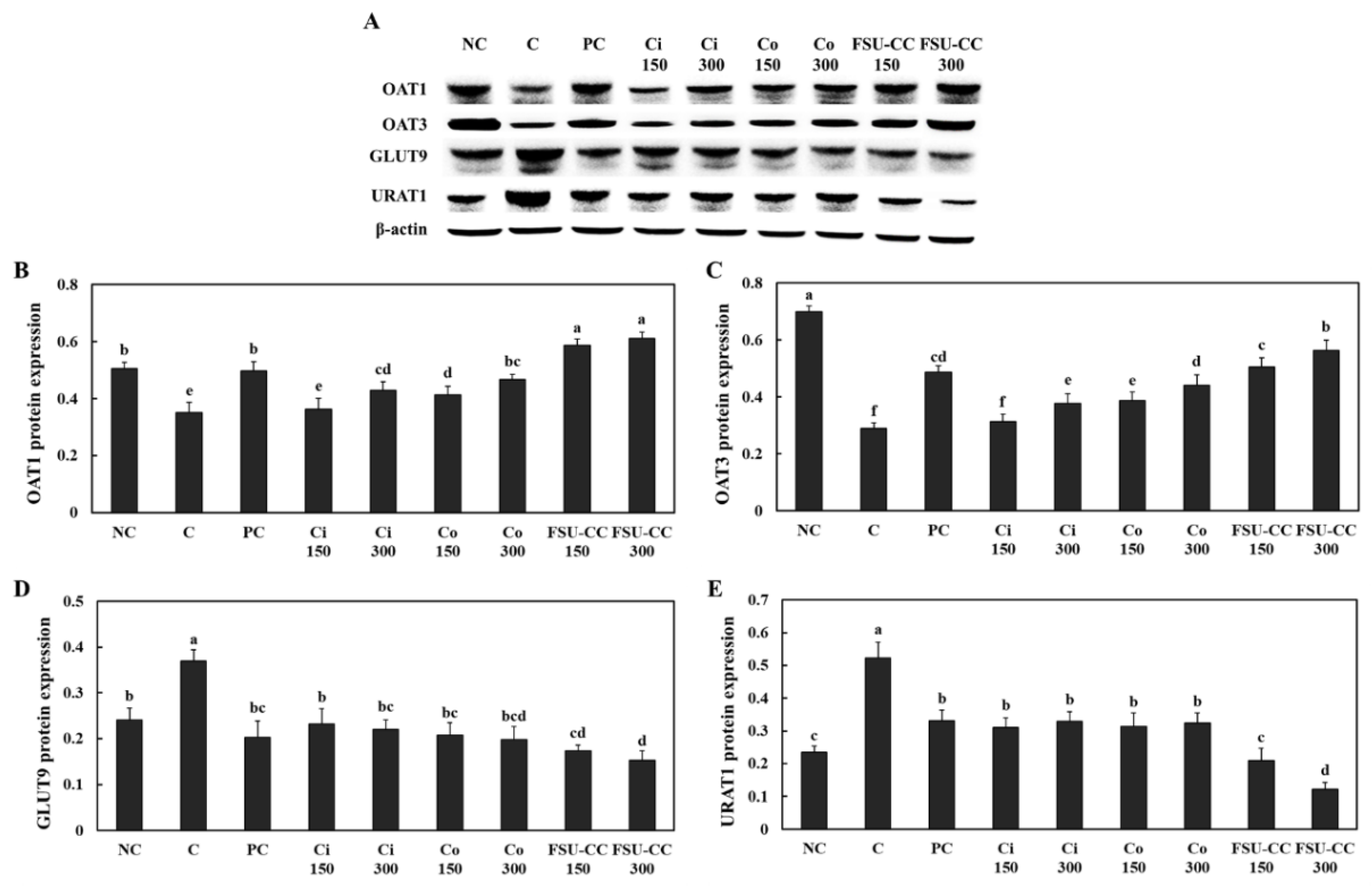 Plants 10 01668 g003