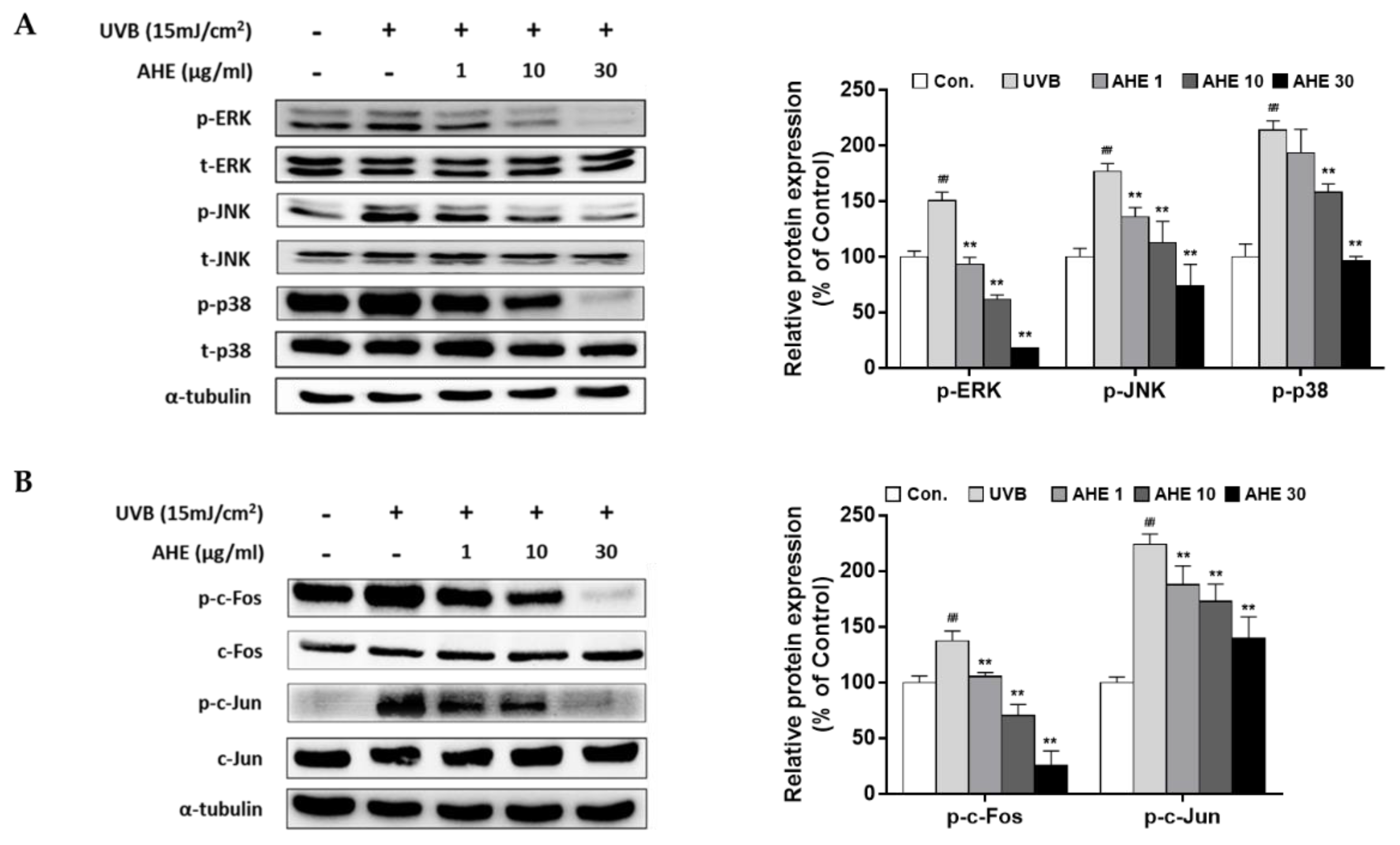 Plants 10 01669 g002 550