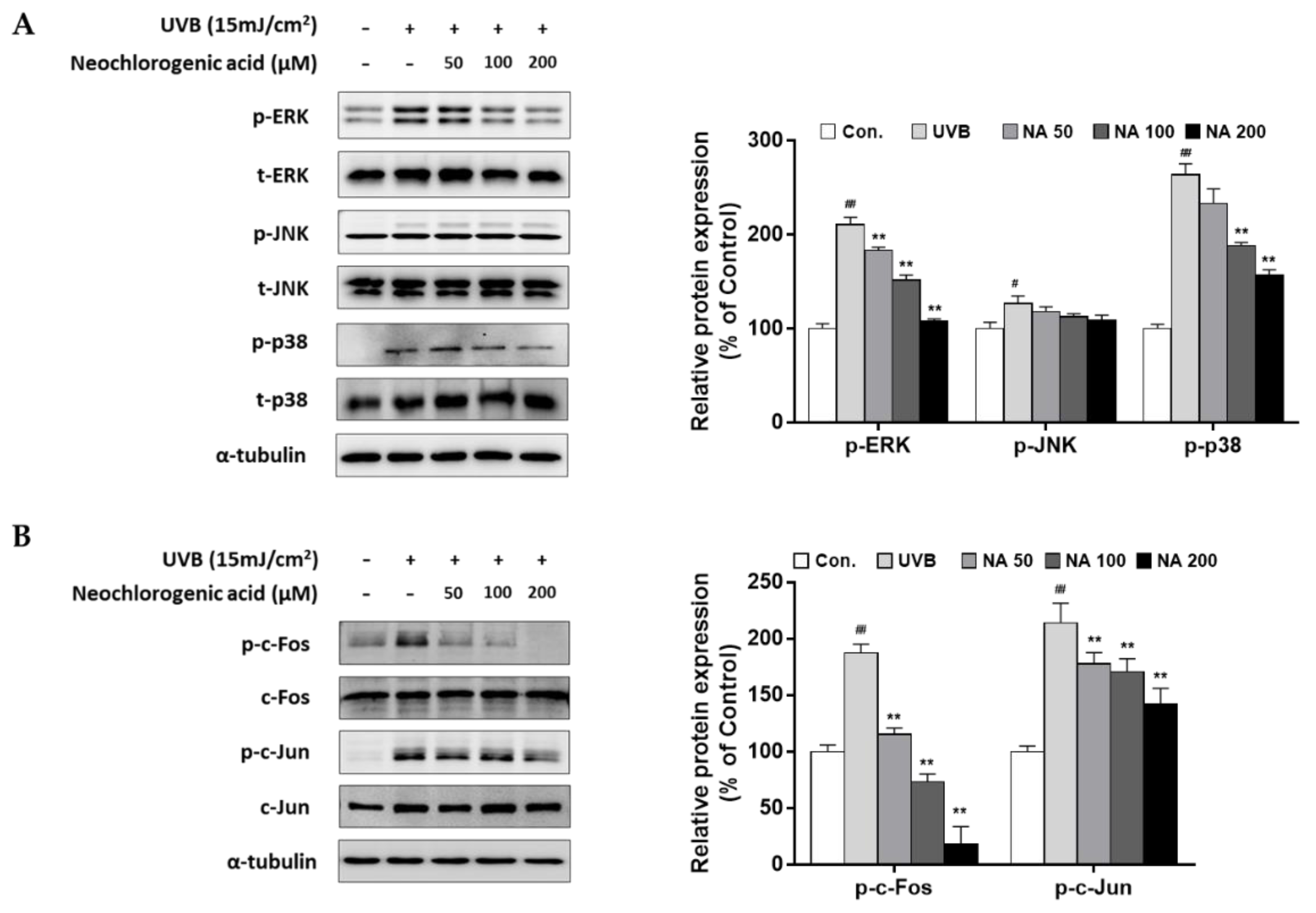 Plants 10 01669 g006 550