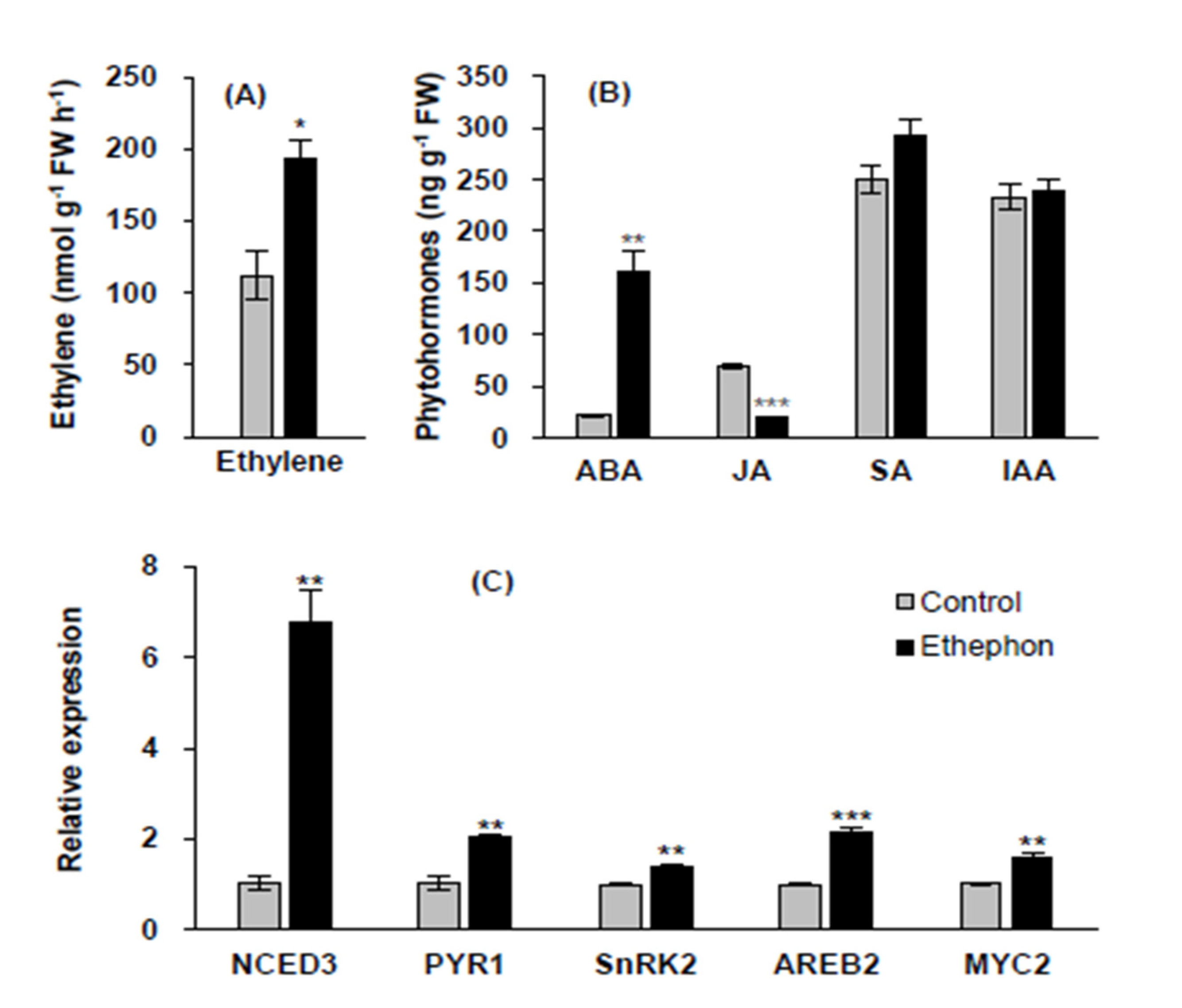 Plants 10 01670 g002 550