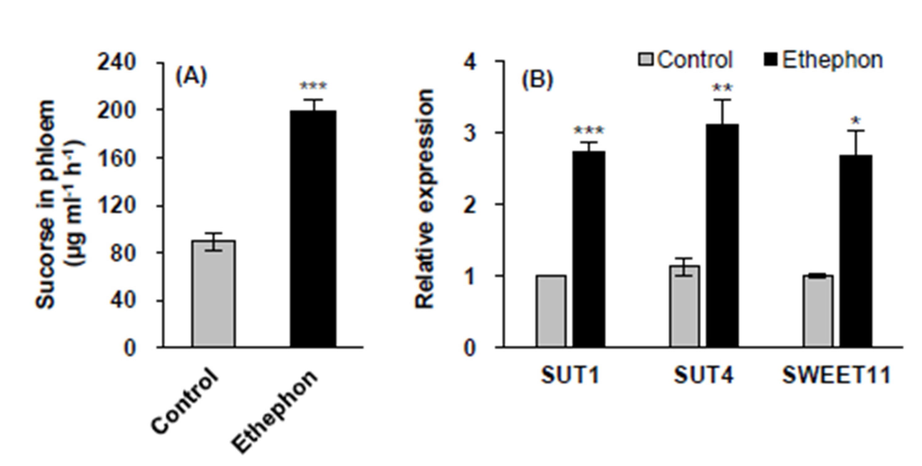 Plants 10 01670 g004 550