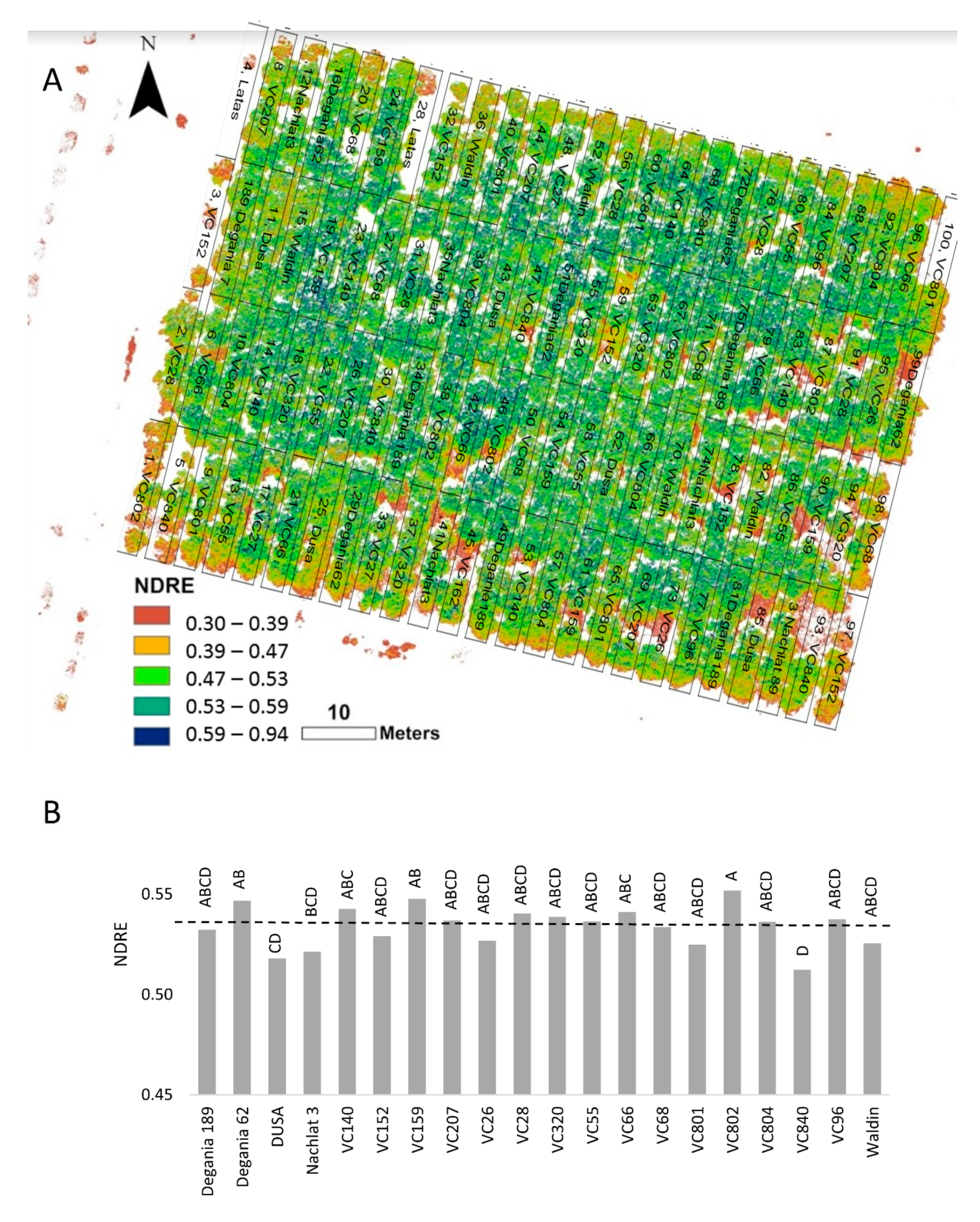 Plants Free Full Text Rootstock Dependent Response Of Hass Avocado To Salt Stress Html Plants Free Full Text Rootstock Dependent Response Of Hass Avocado To Salt Stress Html