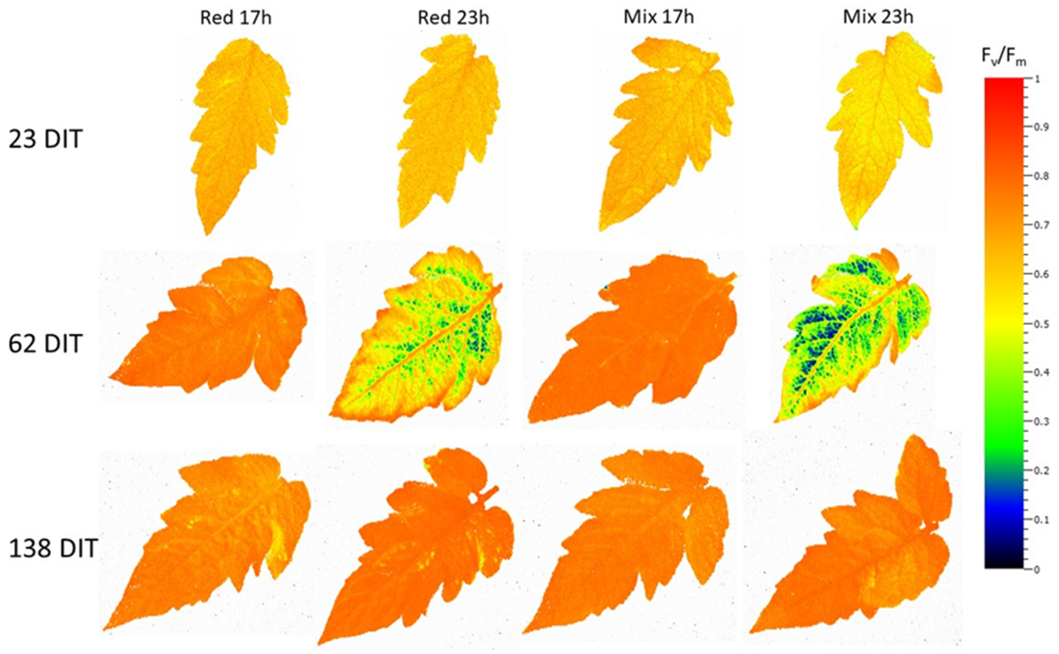 Plants 10 01674 g004