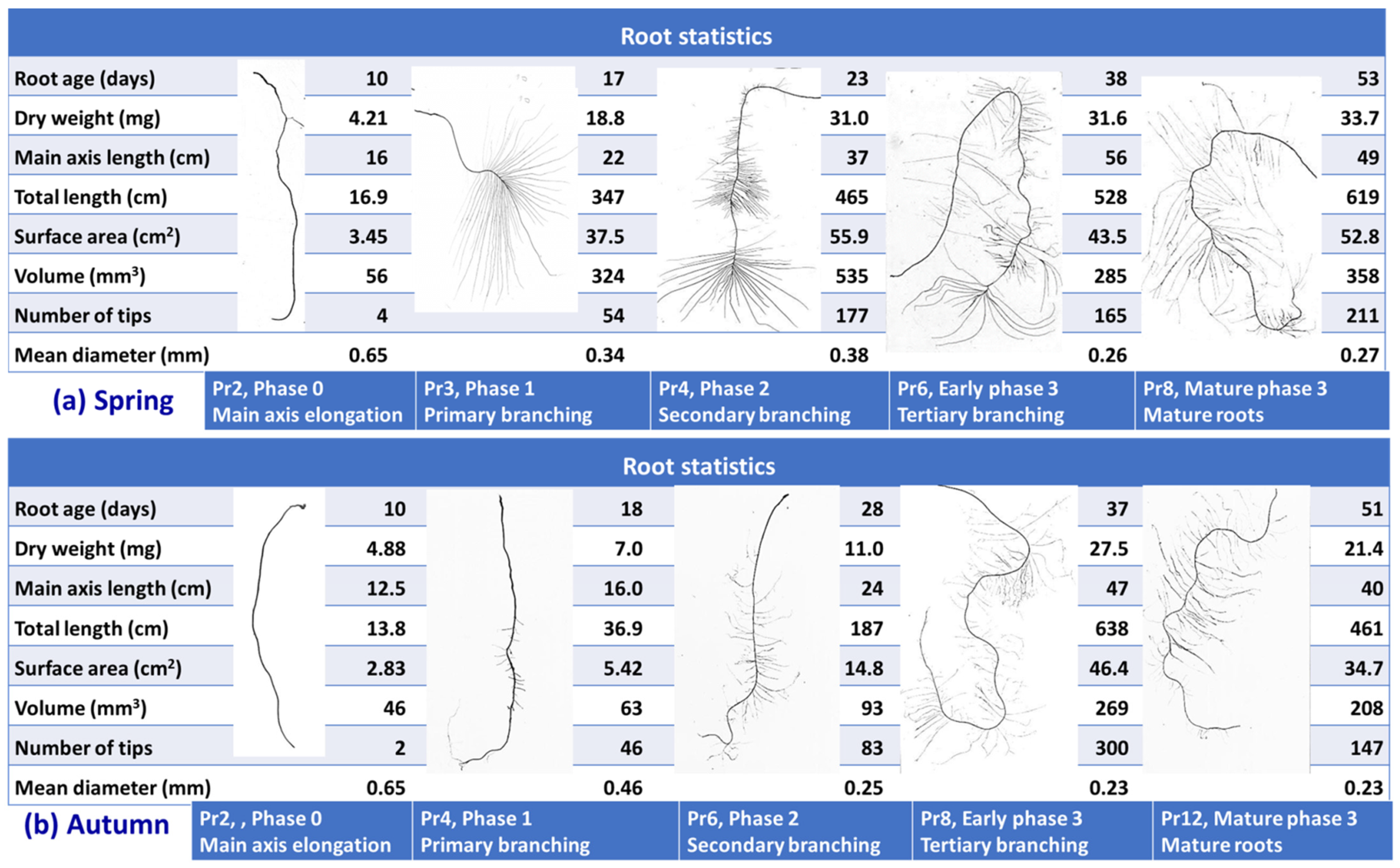 Plants 10 01677 g004 Plants 10 01677 g004
