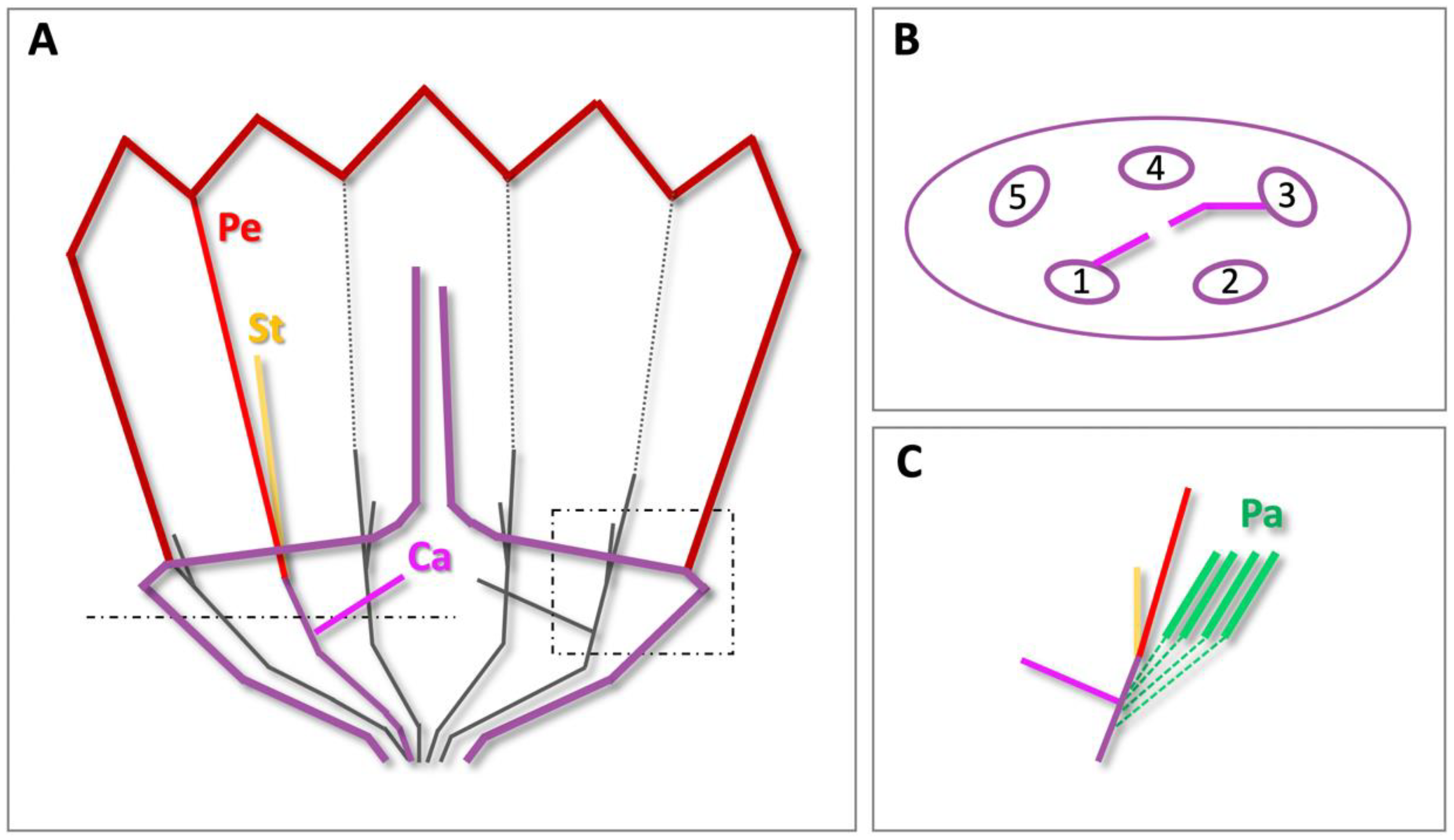 Plants 10 01682 g006